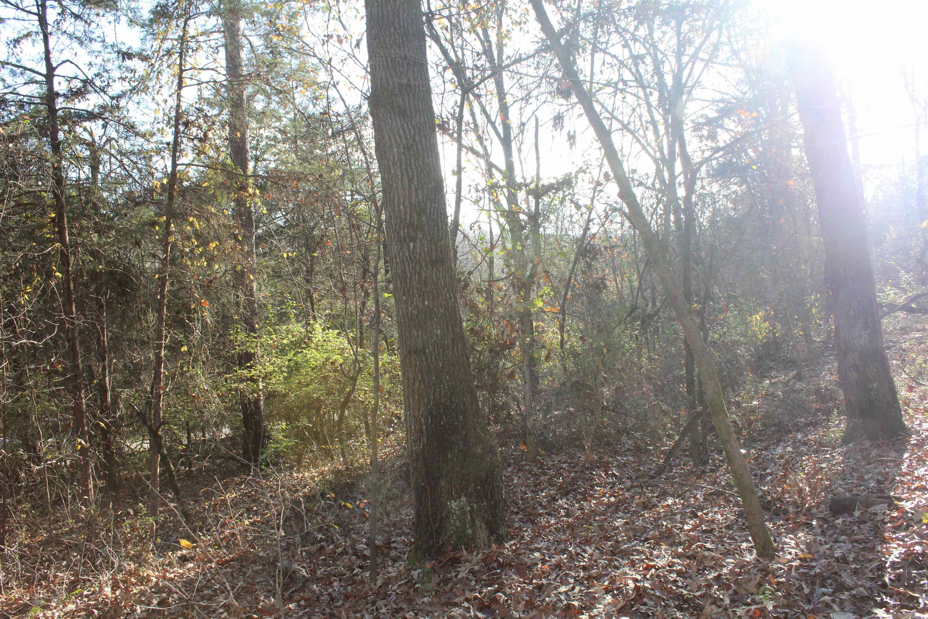 001-04740-000 MC 5045  Yellville, AR