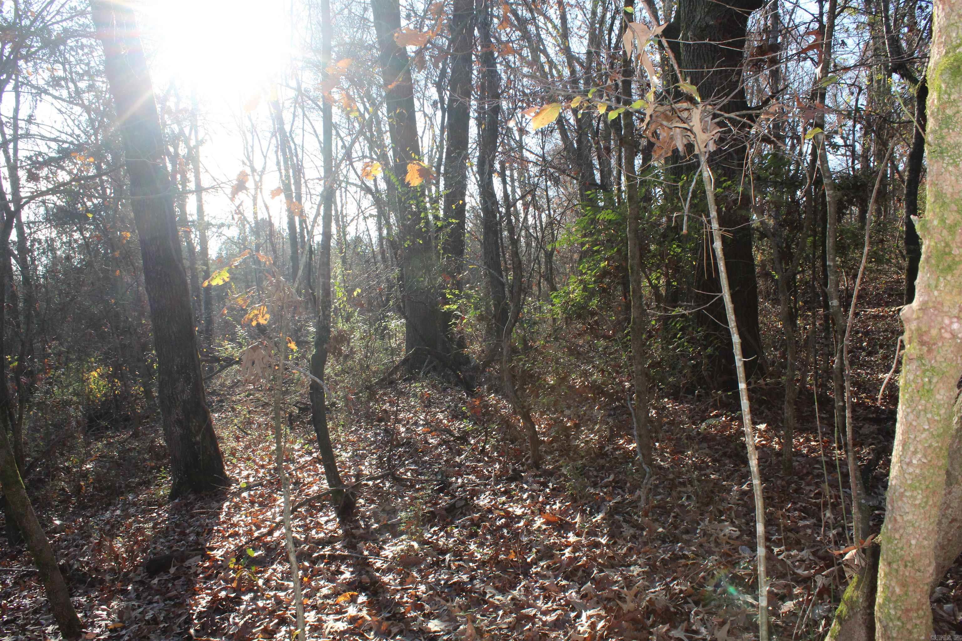 001-04740-000 MC 5045  Yellville, AR