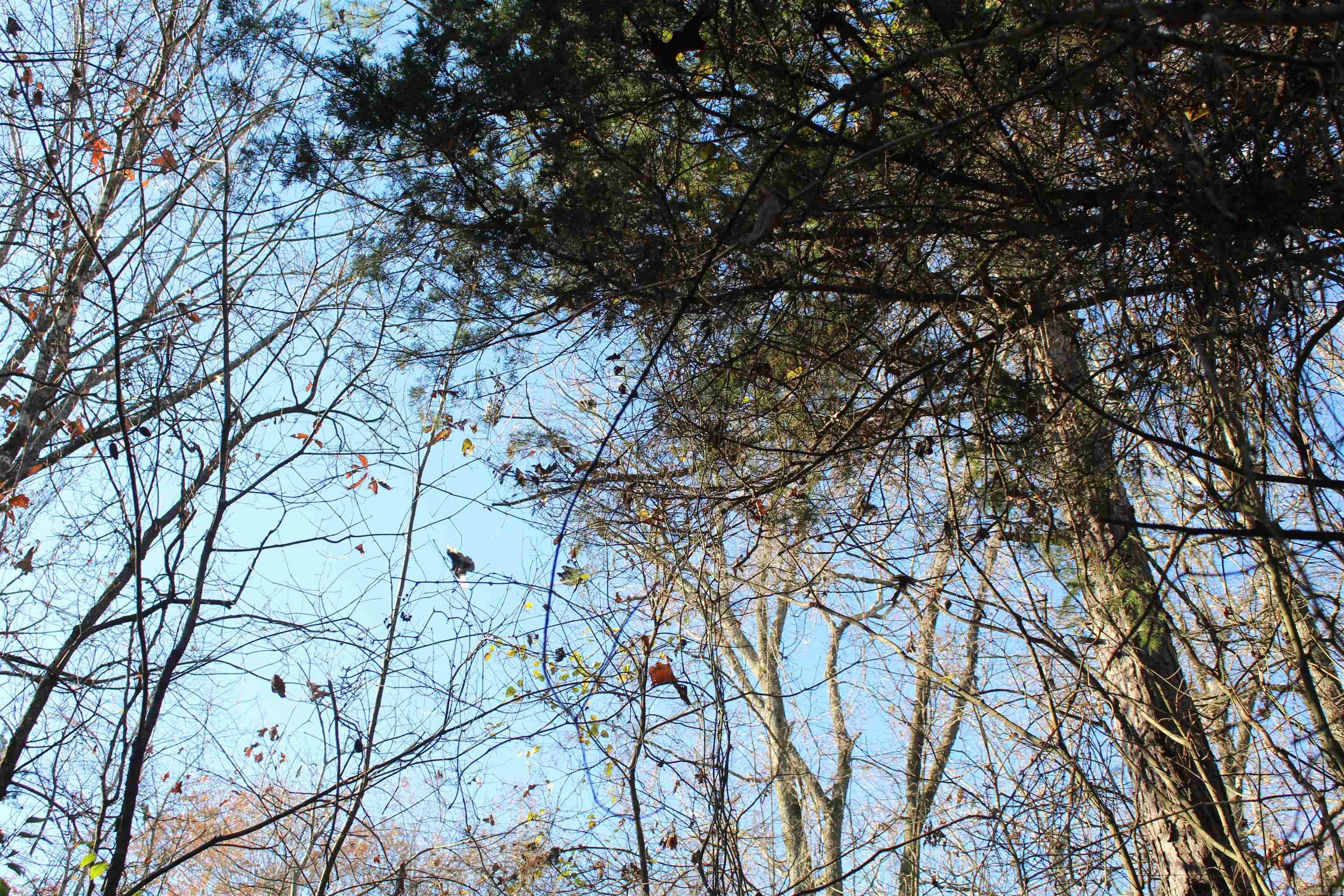 001-04740-000 MC 5045  Yellville, AR