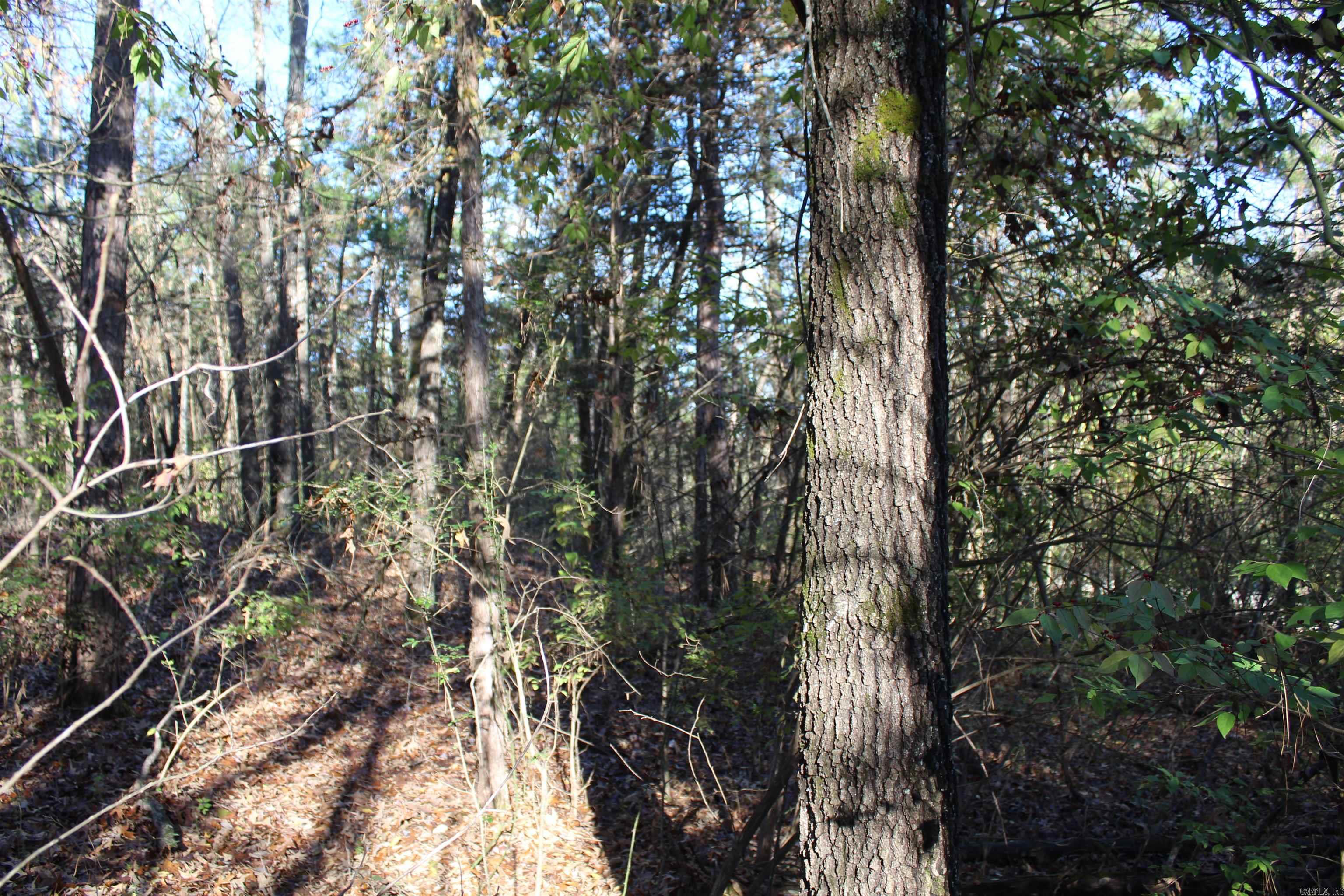 001-04740-000 MC 5045  Yellville, AR