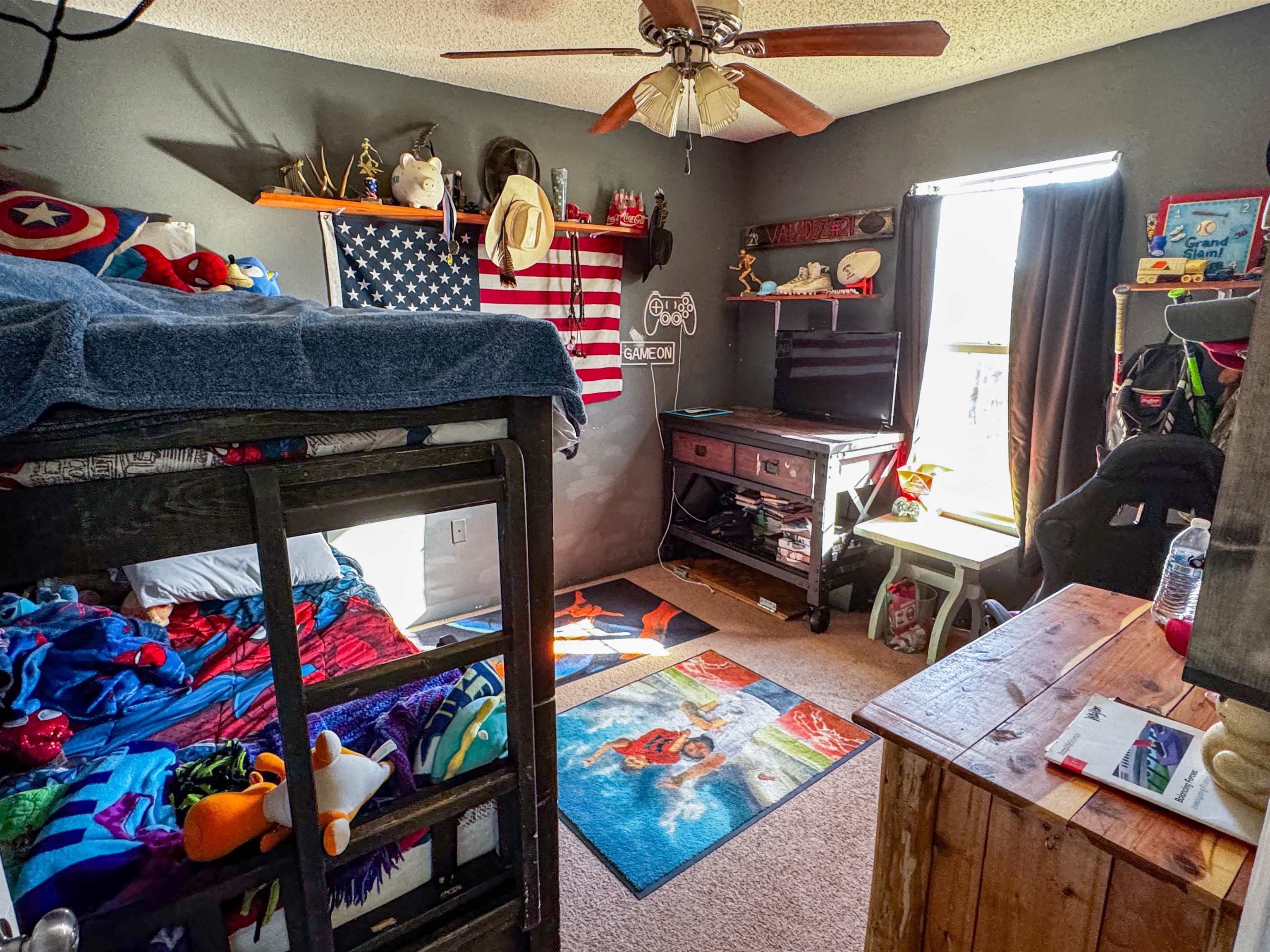 243 Medley Rd  Evening Shade, AR