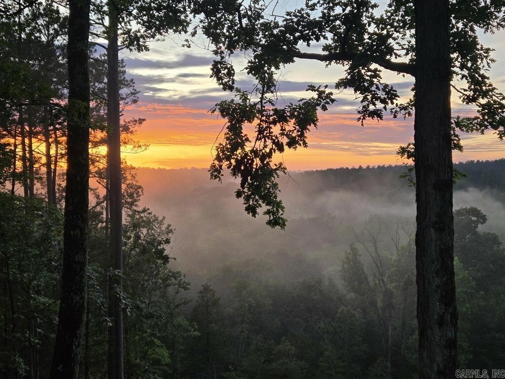 375 Batesville Mountain  Damascus, AR