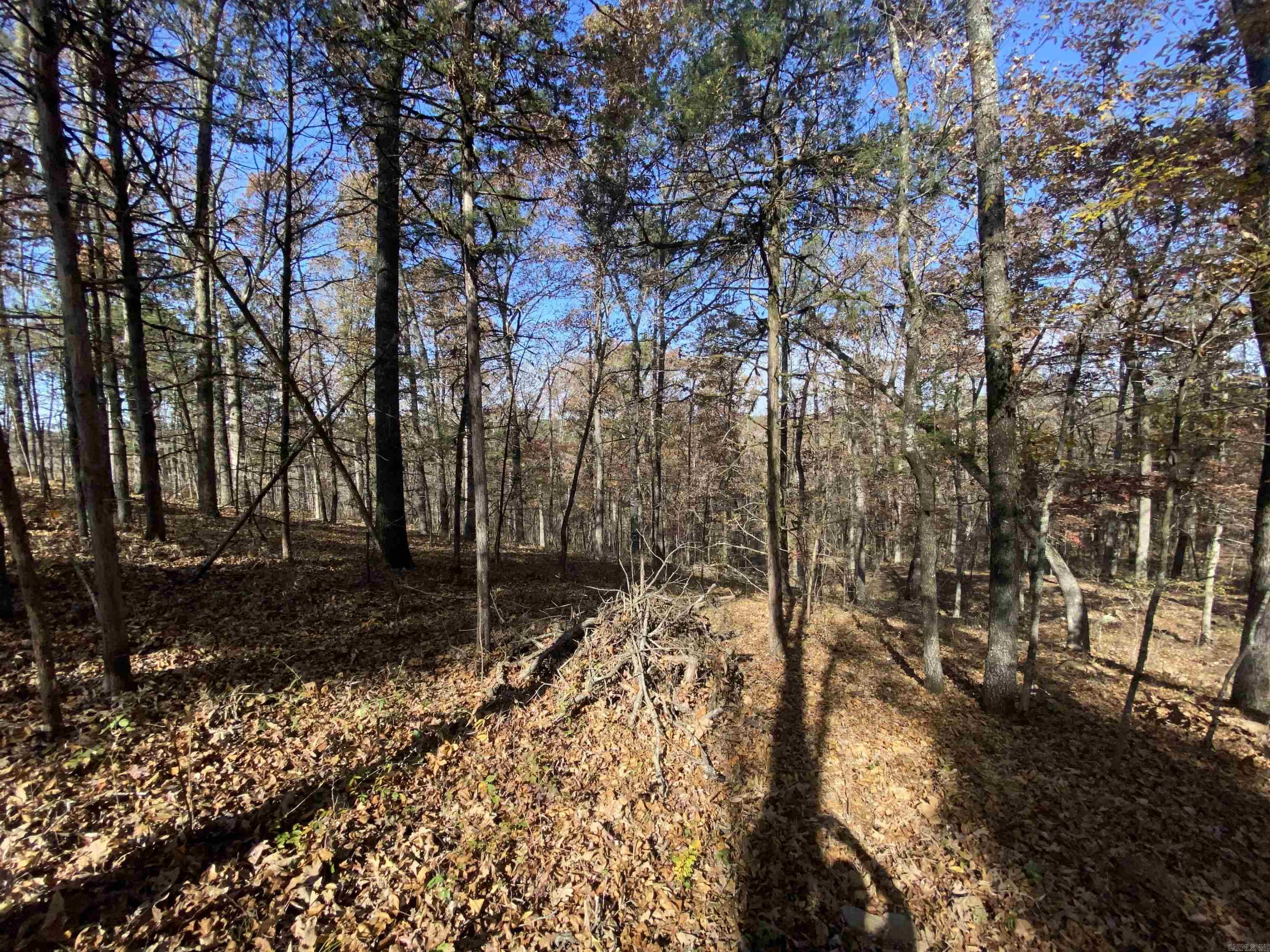 375 Batesville Mountain  Damascus, AR