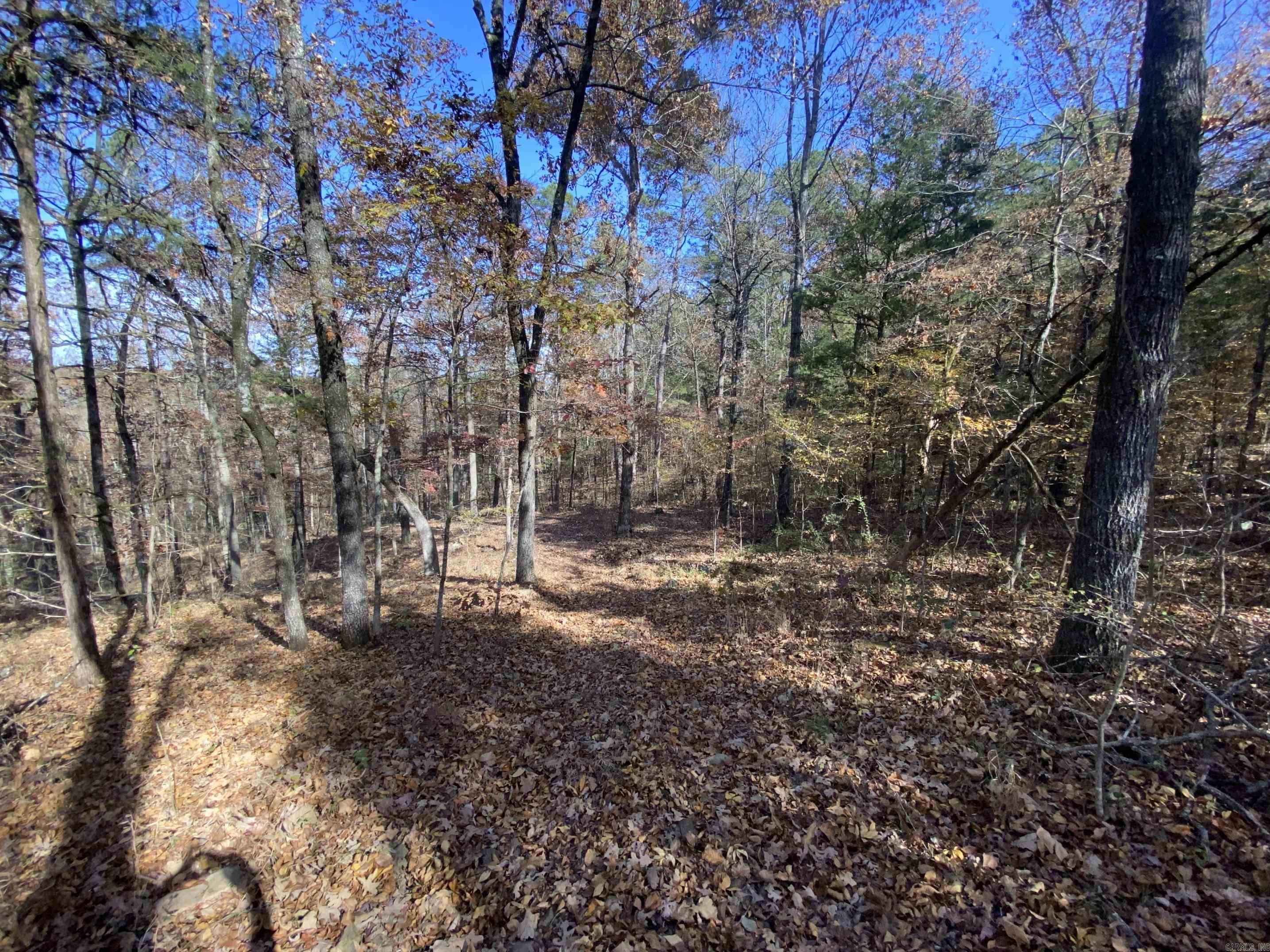 375 Batesville Mountain  Damascus, AR