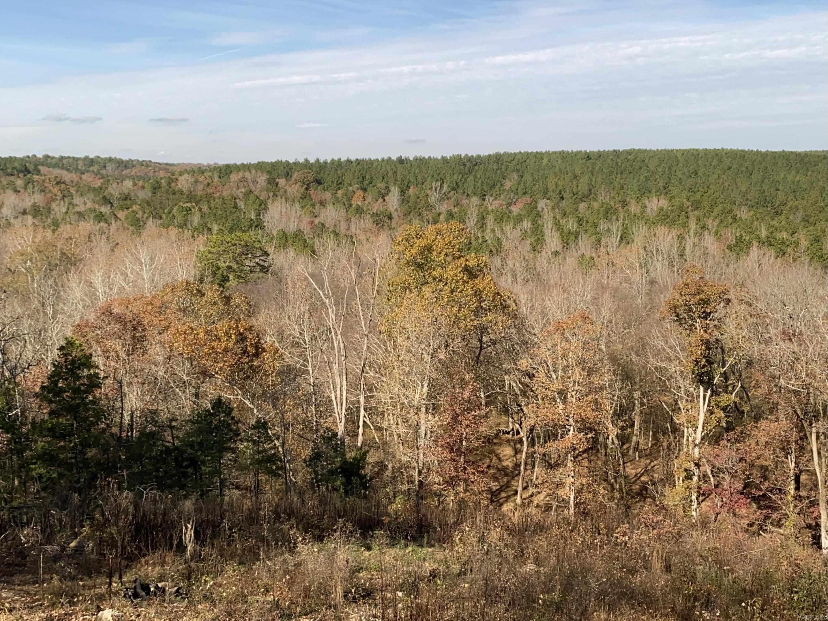 375 Batesville Mountain  Damascus, AR