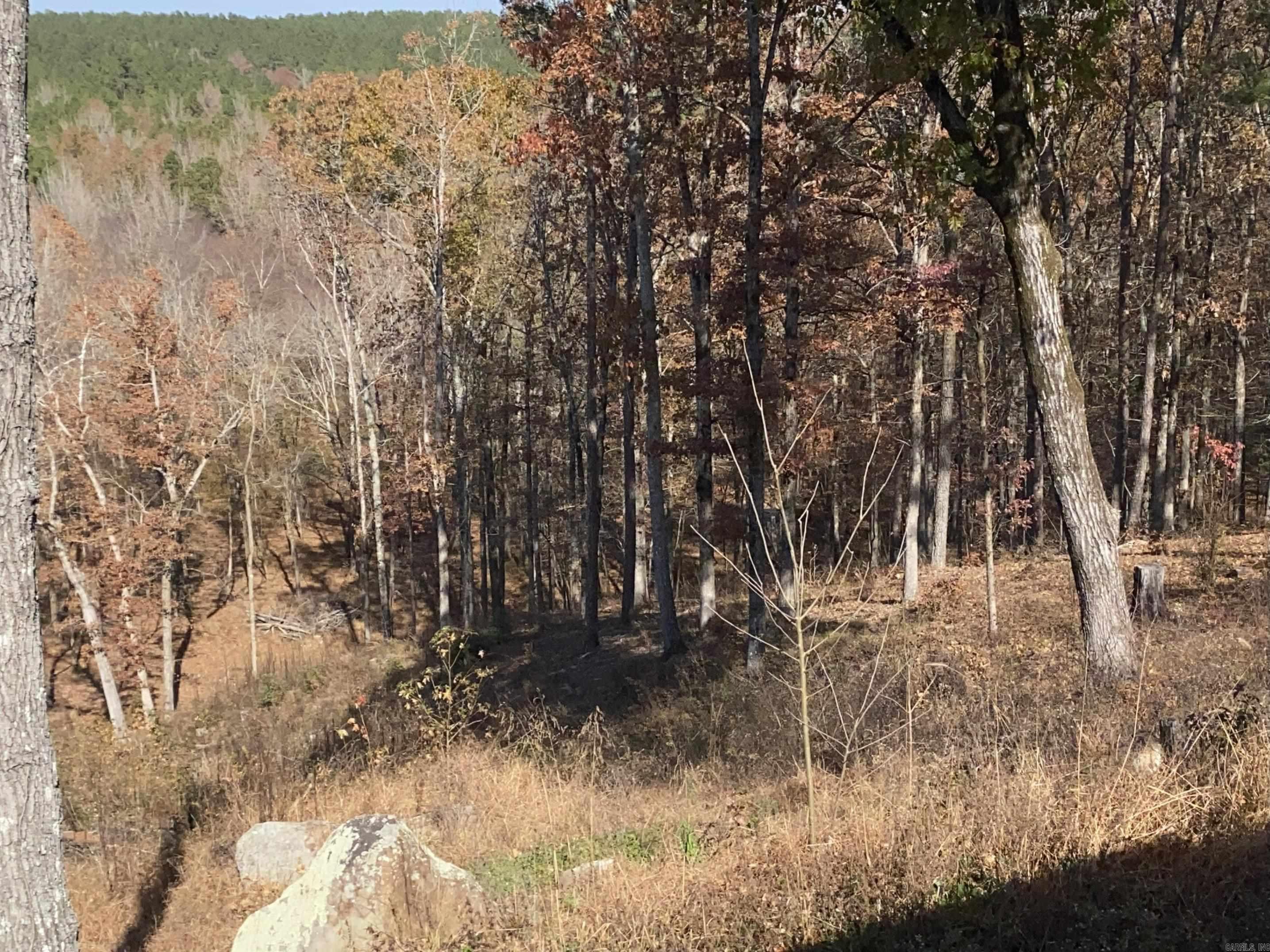 375 Batesville Mountain  Damascus, AR