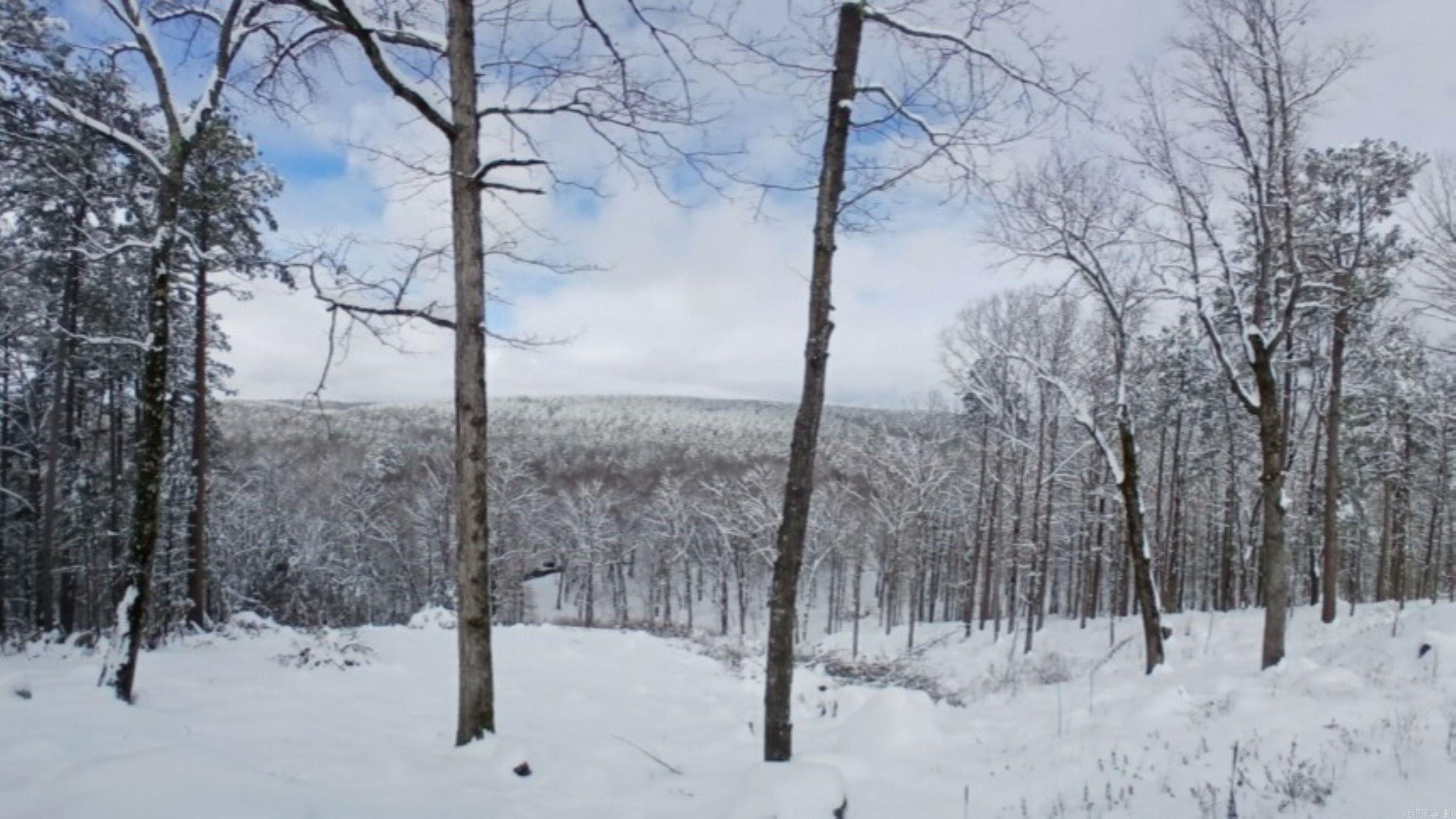 375 Batesville Mountain  Damascus, AR