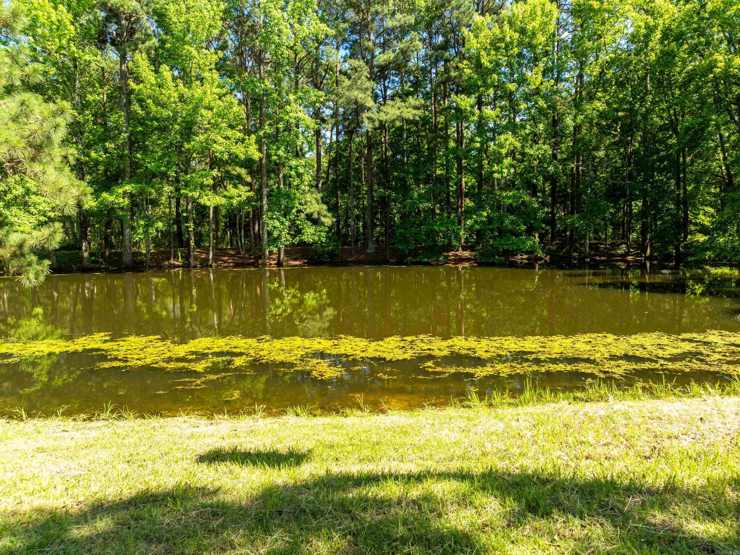 124 Primrose Lane Pearcy, AR 71964