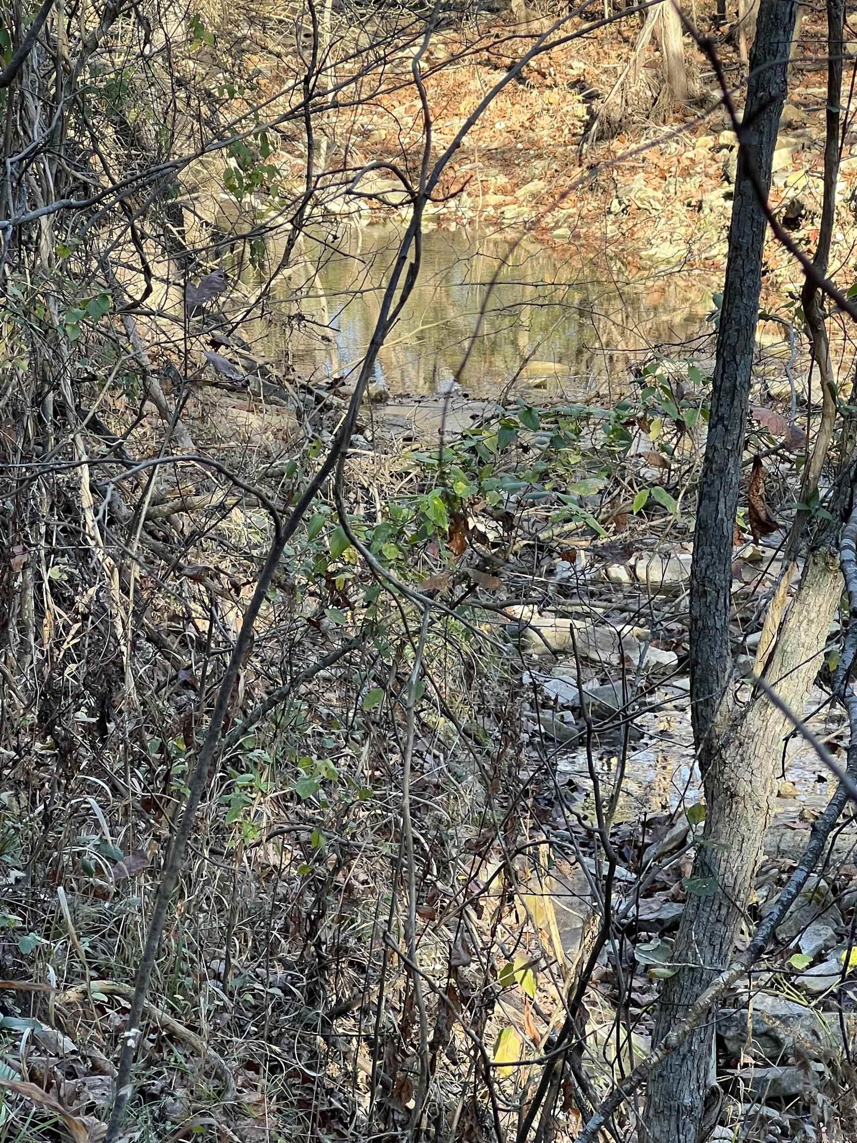 001-08378-001 W Hwy 62  Pyatt, AR