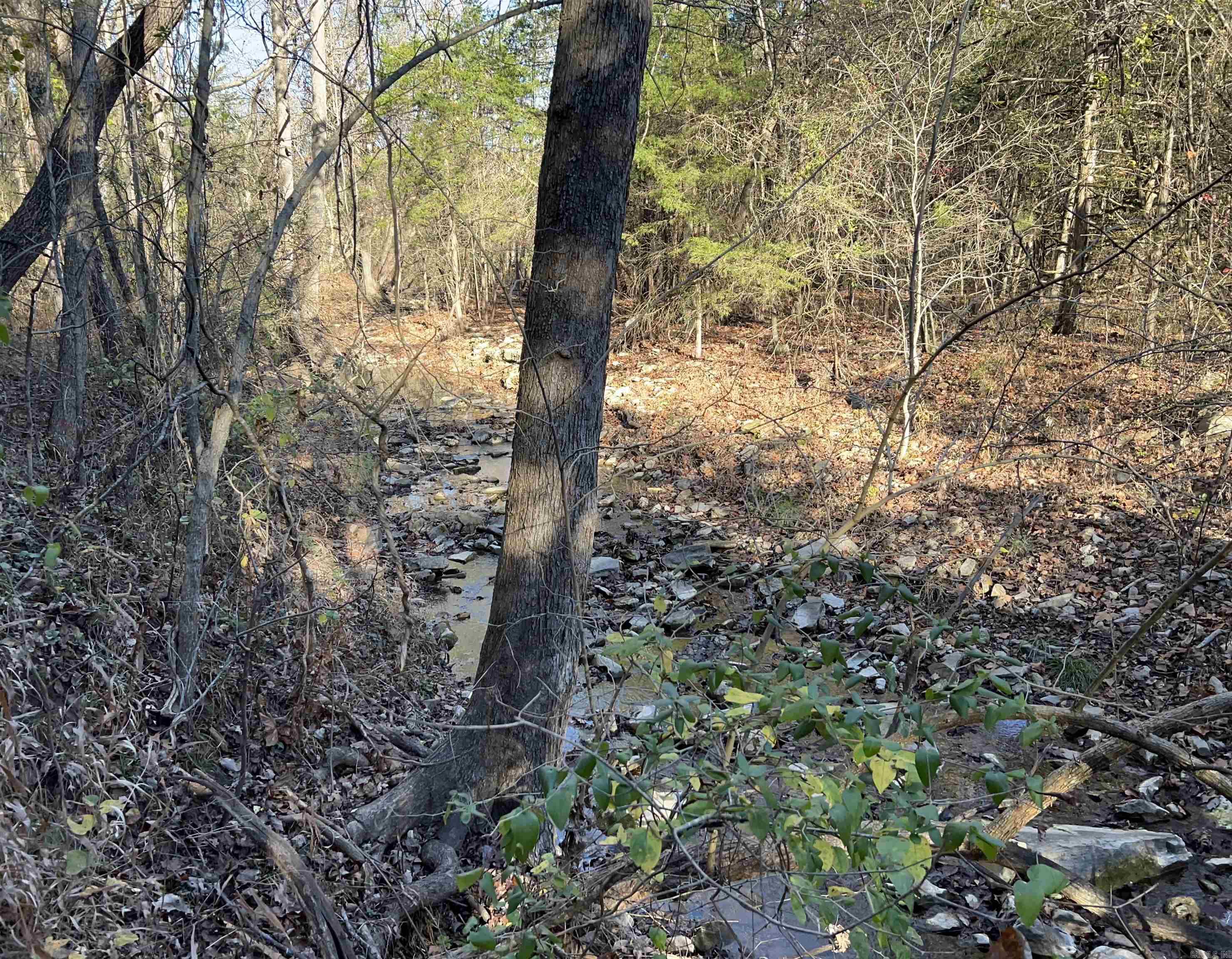 001-08378-001 W Hwy 62  Pyatt, AR