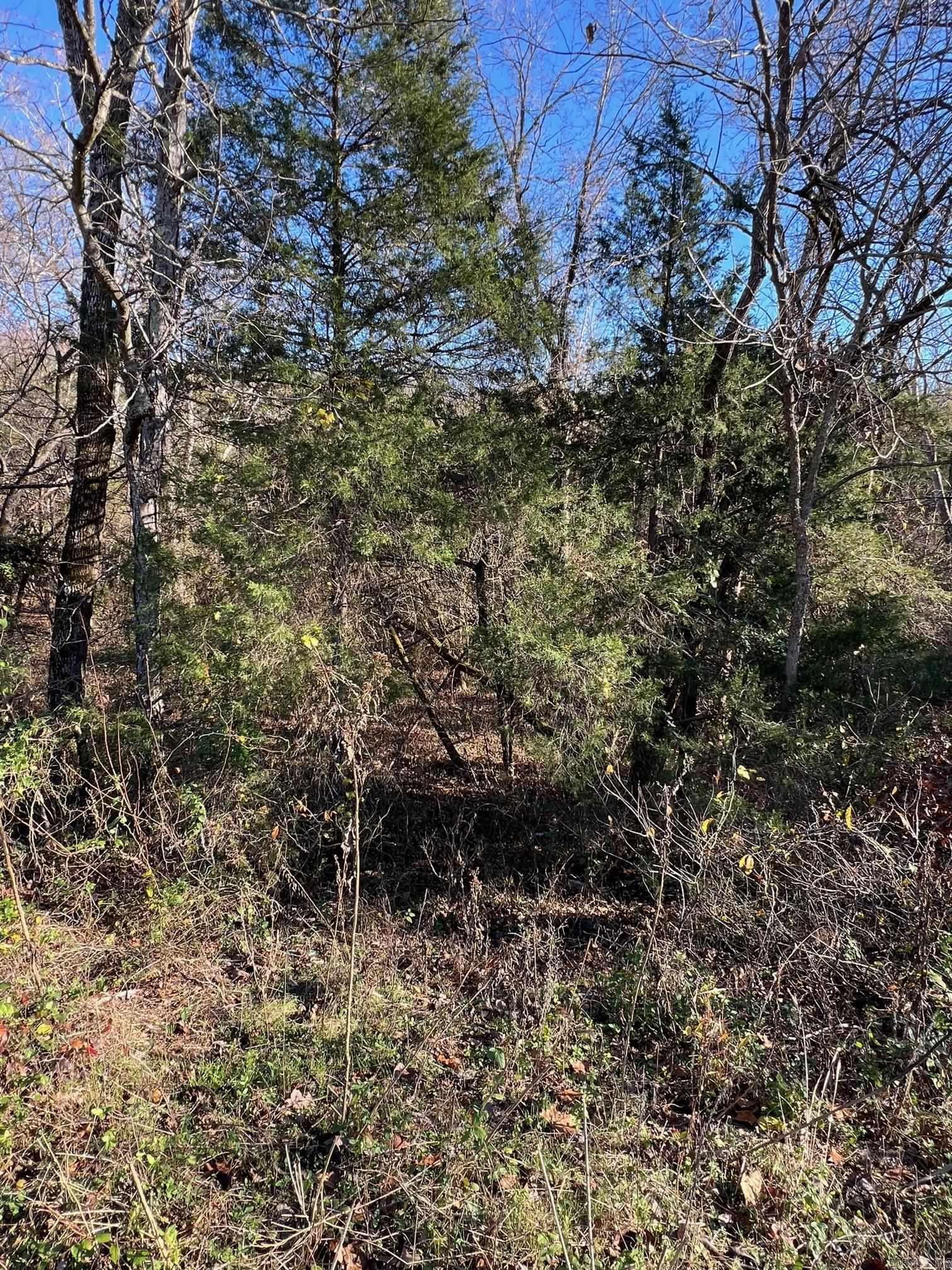 001-08378-001 W Hwy 62  Pyatt, AR