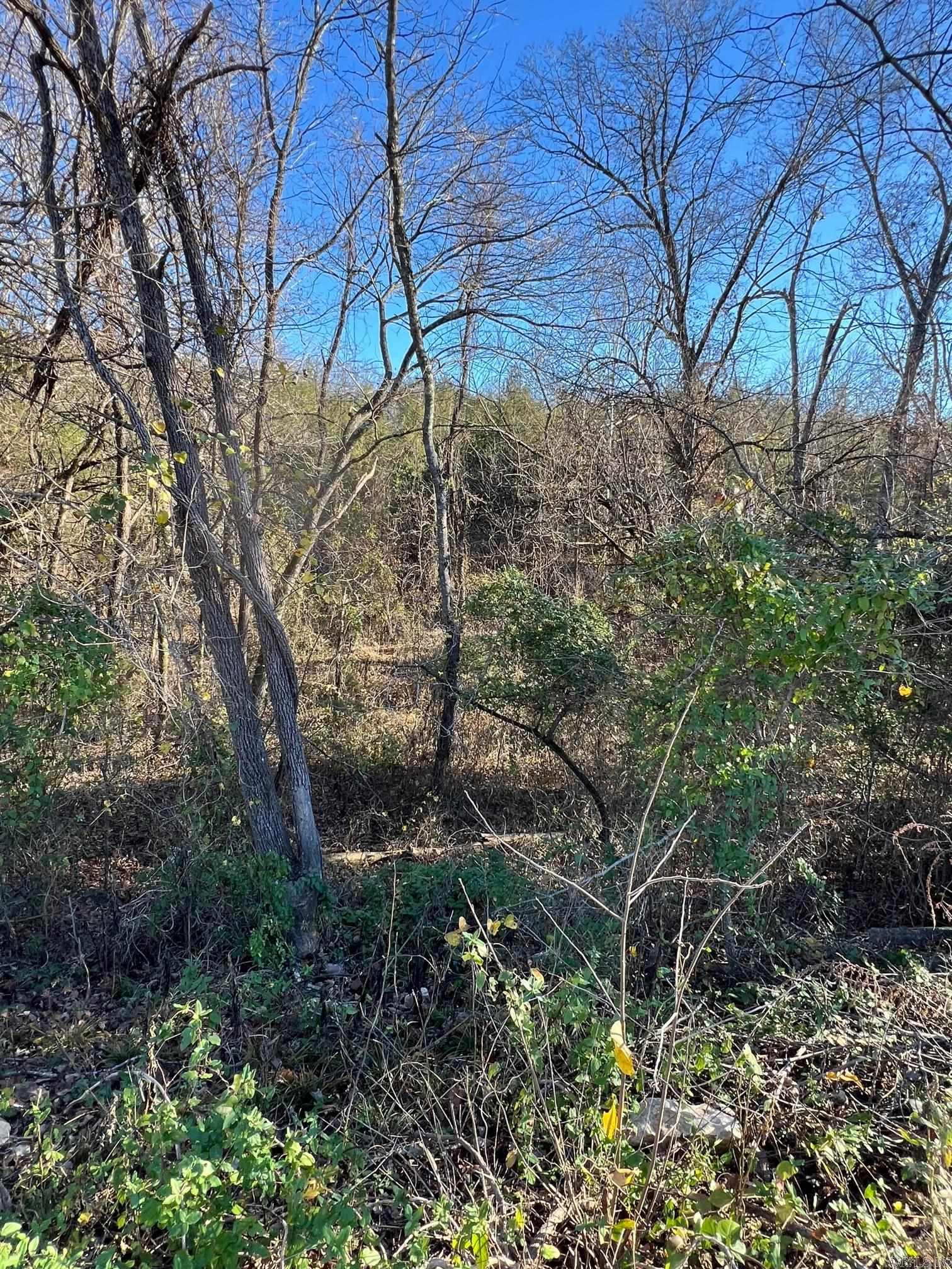 001-08378-001 W Hwy 62  Pyatt, AR