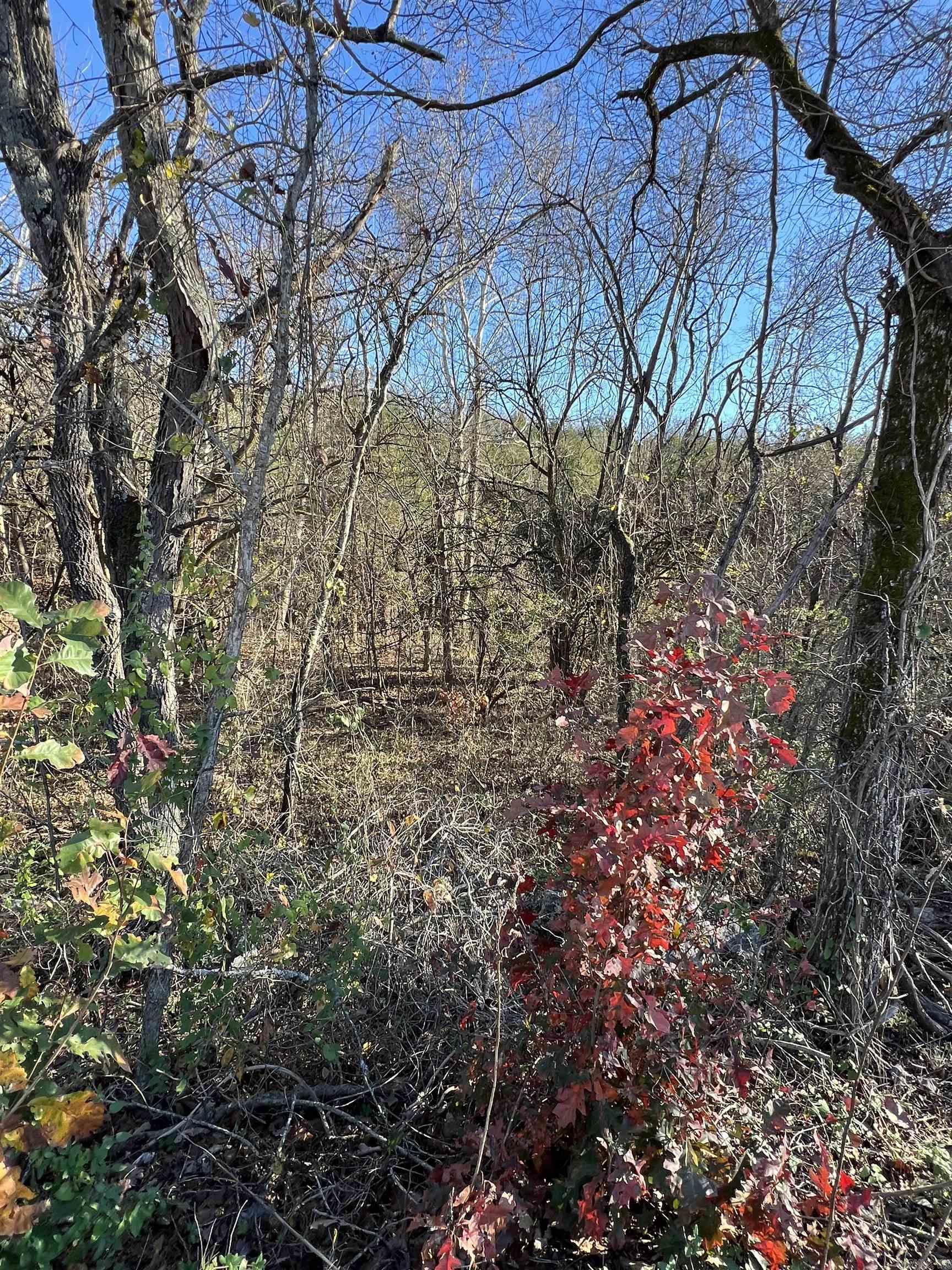 001-08378-001 W Hwy 62  Pyatt, AR