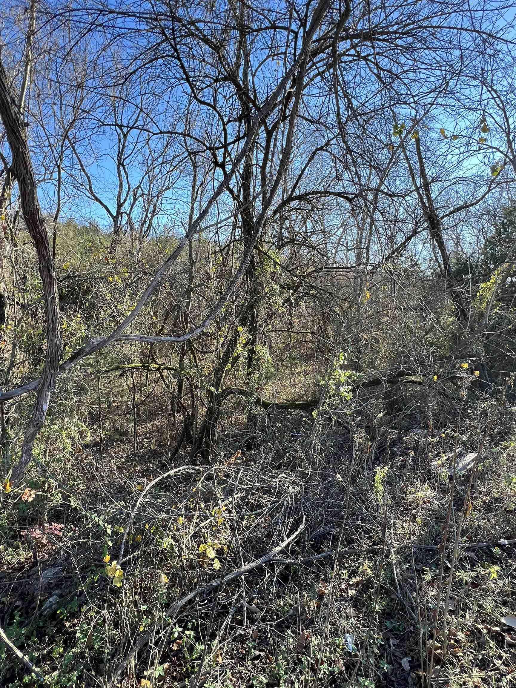 001-08378-001 W Hwy 62  Pyatt, AR