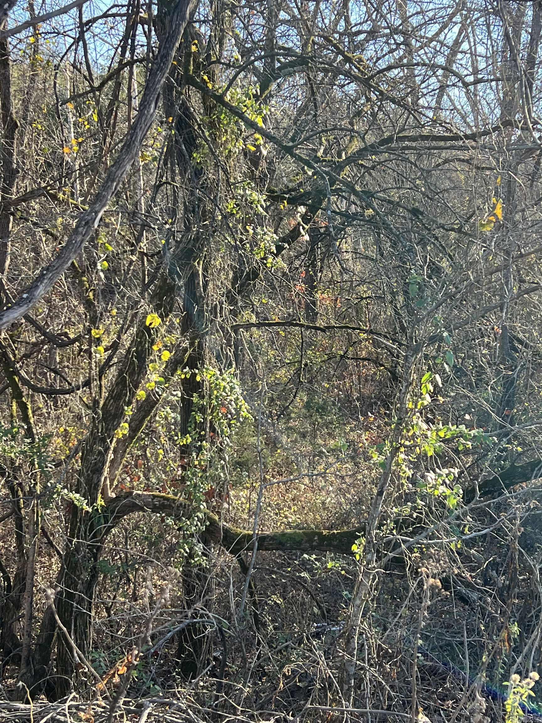 001-08378-001 W Hwy 62  Pyatt, AR