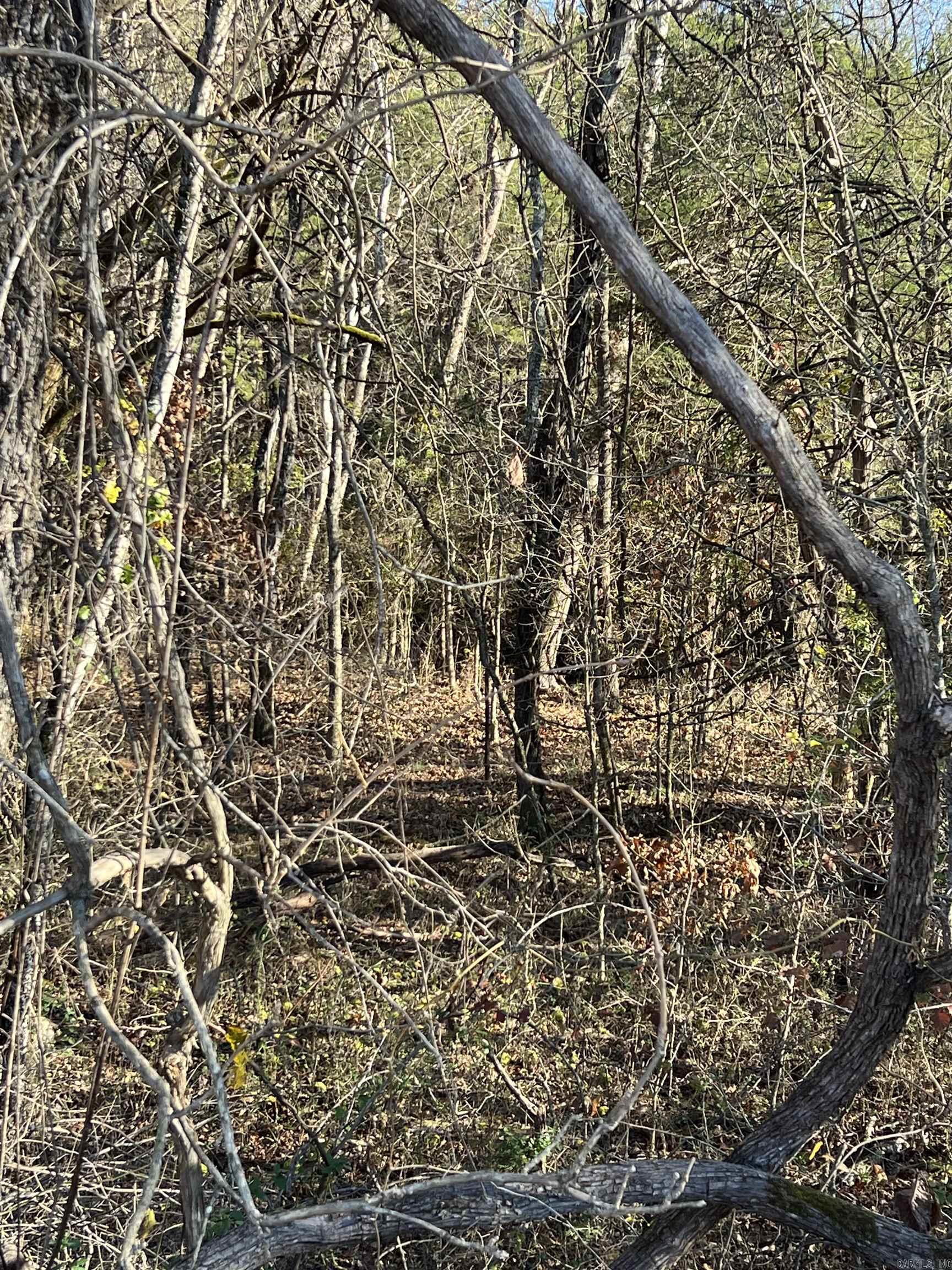 001-08378-001 W Hwy 62  Pyatt, AR