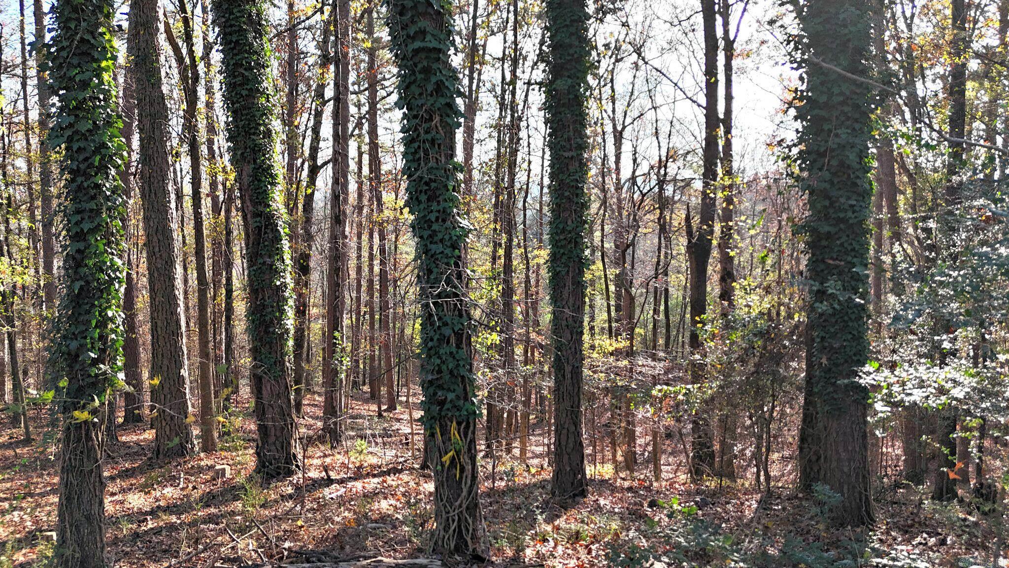 200 Ridge Street  Mena, AR