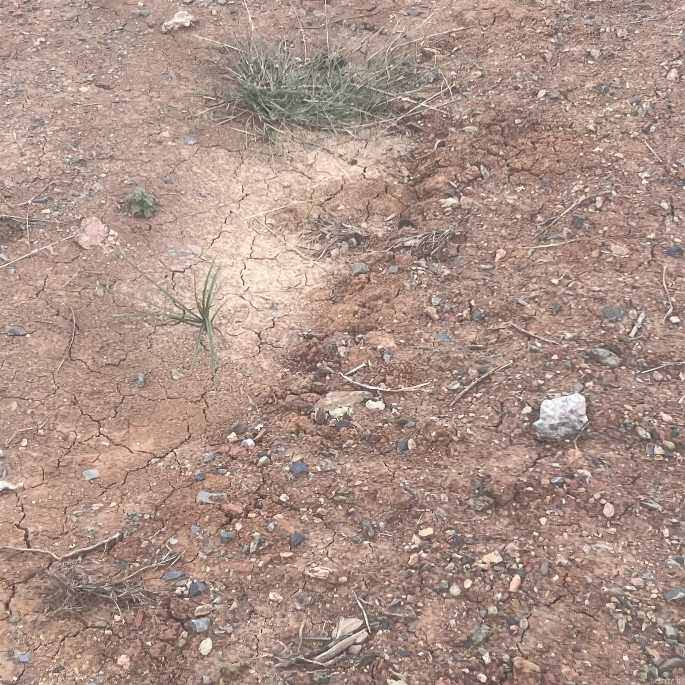 523 Corondelet Lane  Maumelle, AR