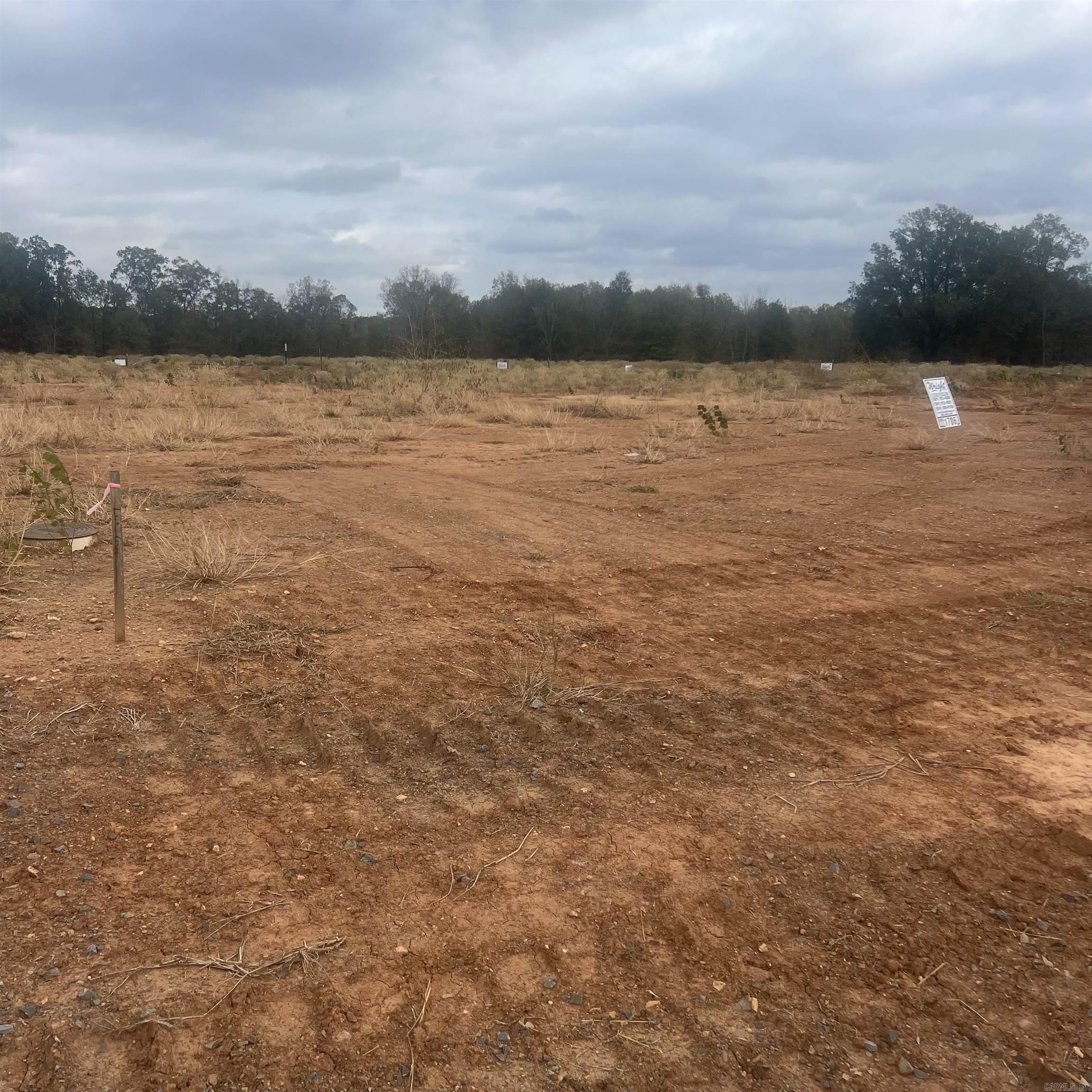 513 Corondelet Lane  Maumelle, AR