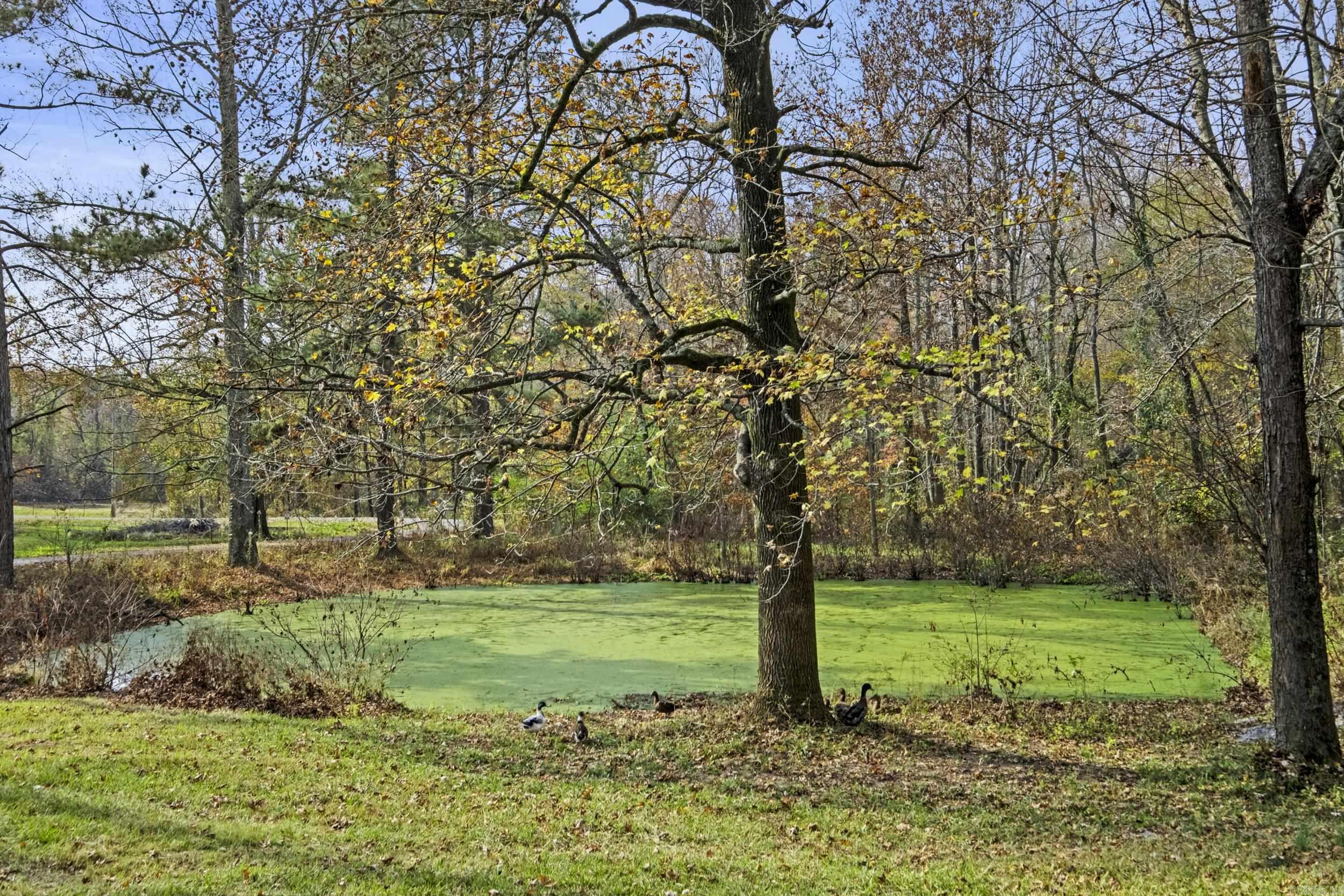 6407 Swagerty  Jacksonville, AR