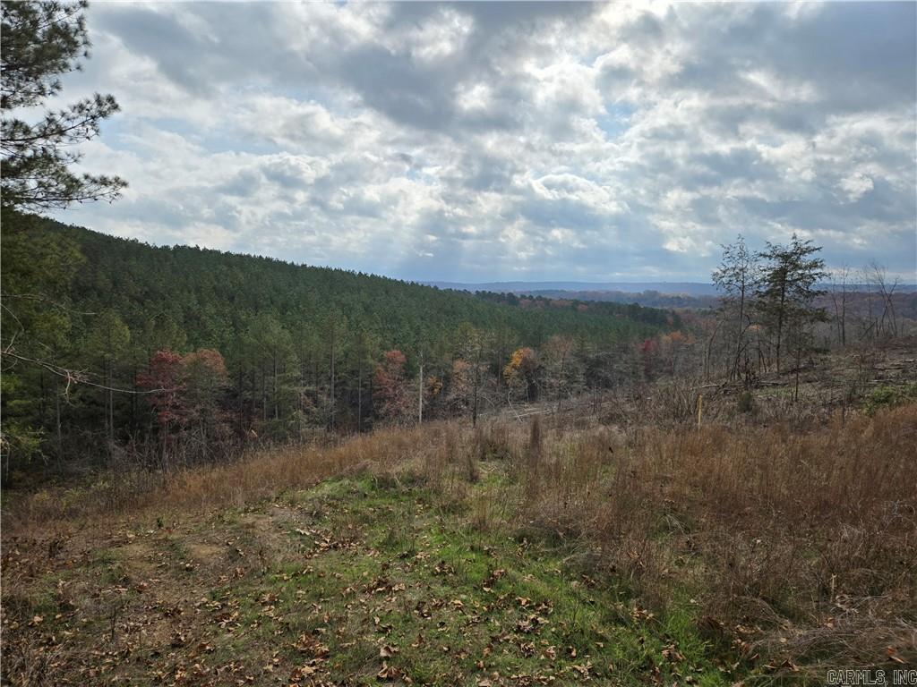 000 Cedar Branch  Hattieville, AR