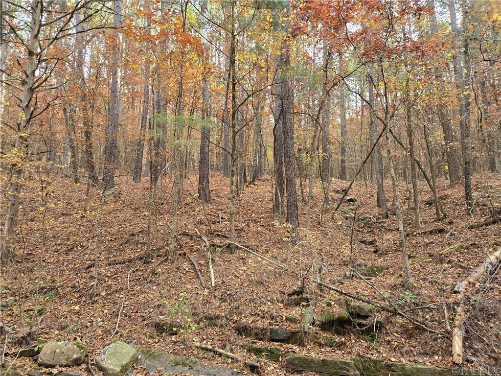 000 Cedar Branch  Hattieville, AR