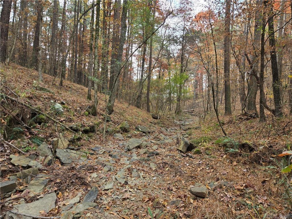 000 Cedar Branch  Hattieville, AR