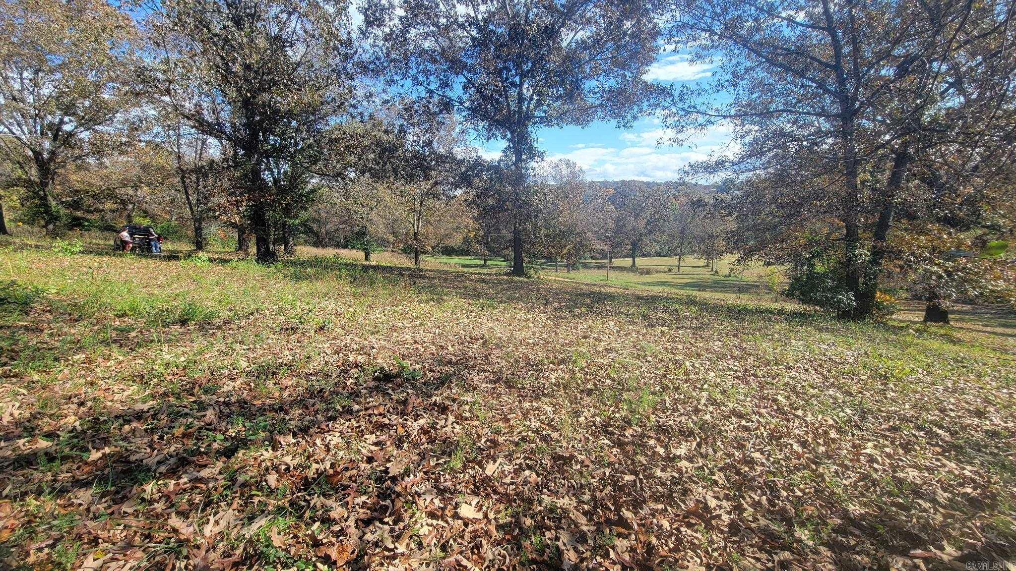 000 Fox Chase  Flippin, AR