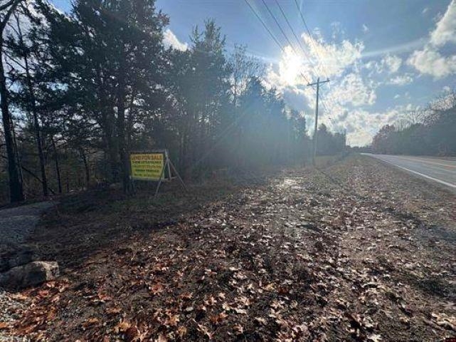 Tract B Hwy 101  Gamaliel, AR