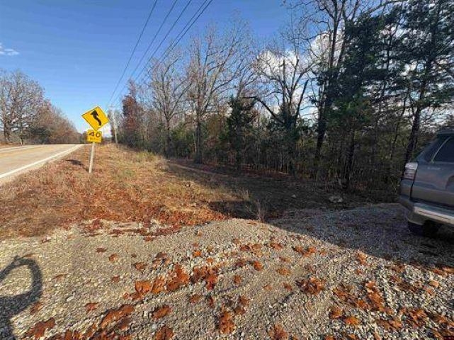 Tract B Hwy 101  Gamaliel, AR