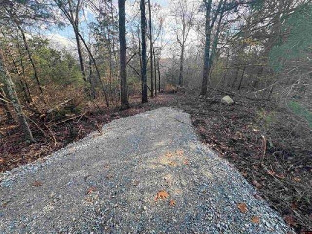 Tract B Hwy 101  Gamaliel, AR