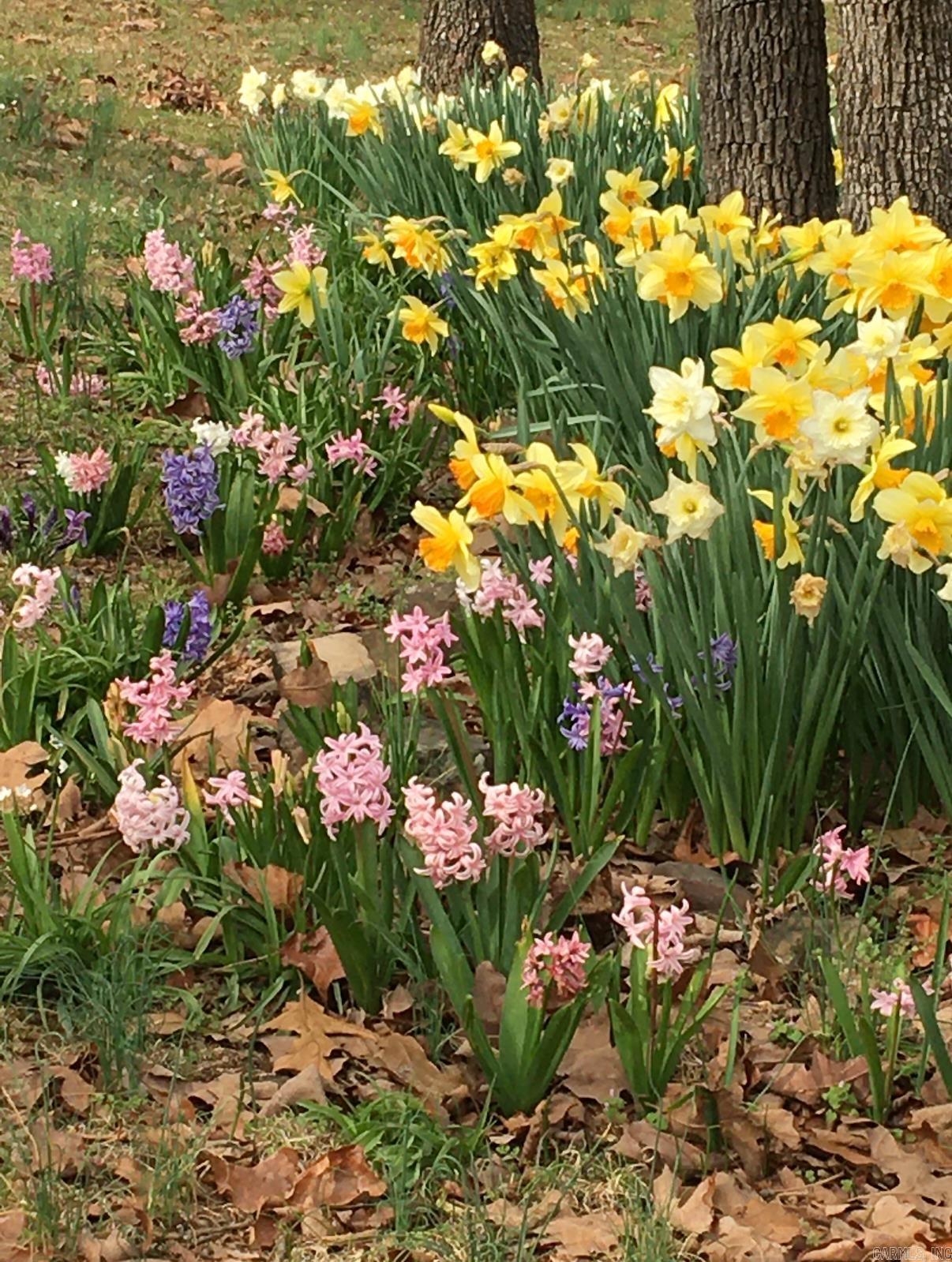 11 Suncrest  Cabot, AR