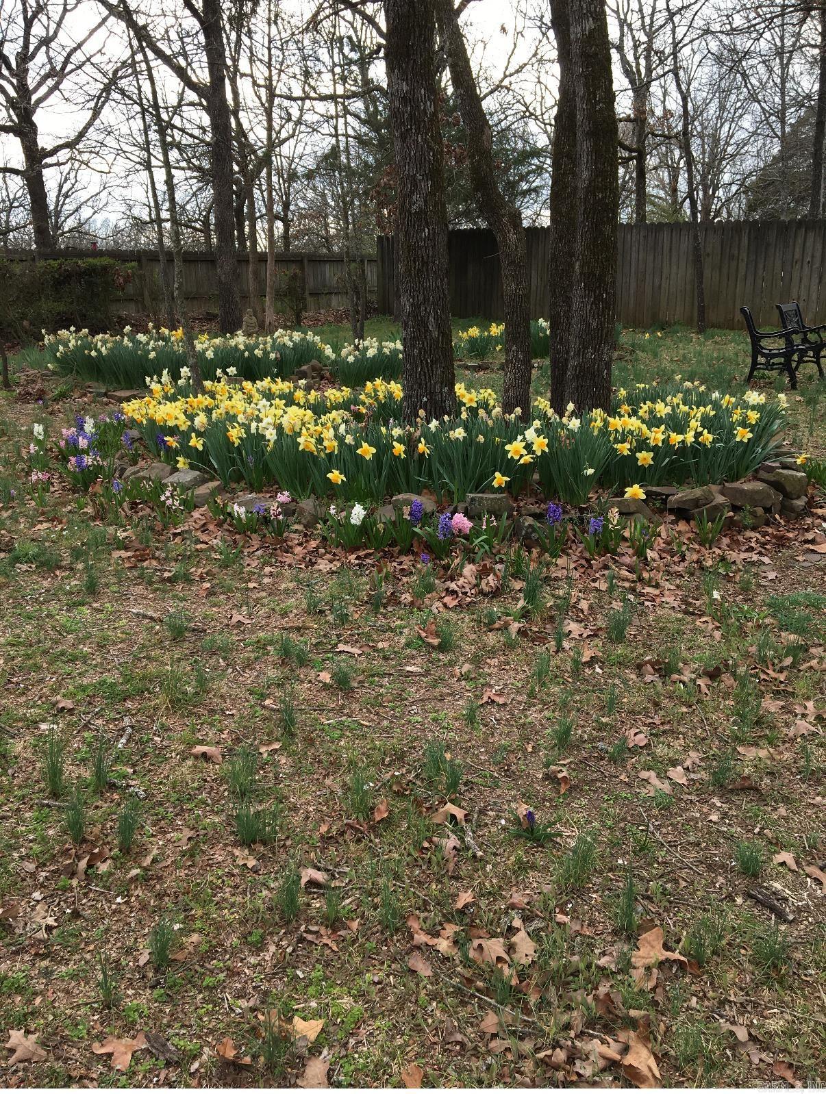 11 Suncrest  Cabot, AR