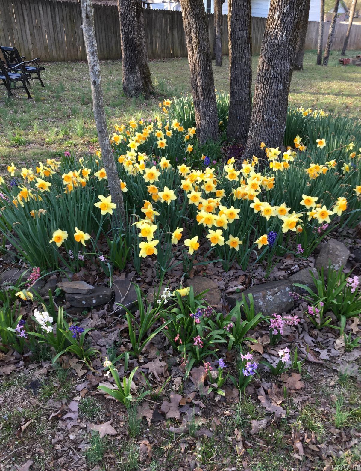 11 Suncrest  Cabot, AR