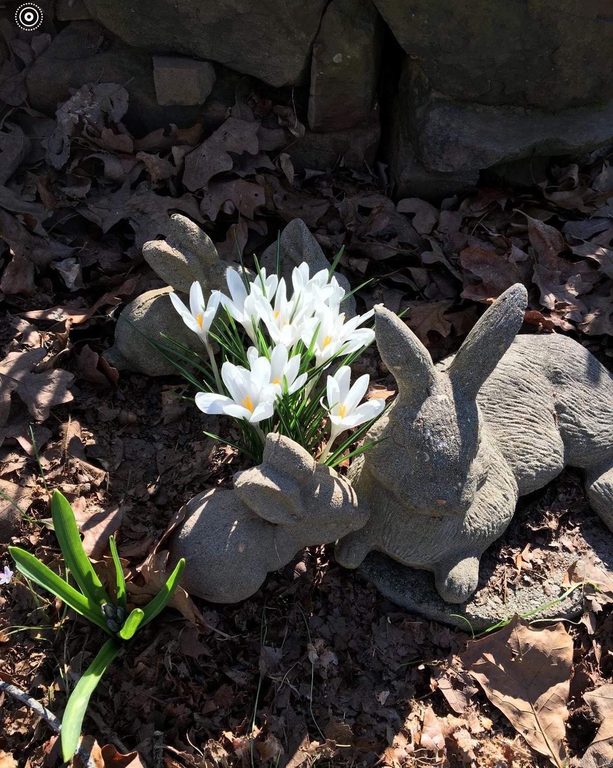 11 Suncrest  Cabot, AR