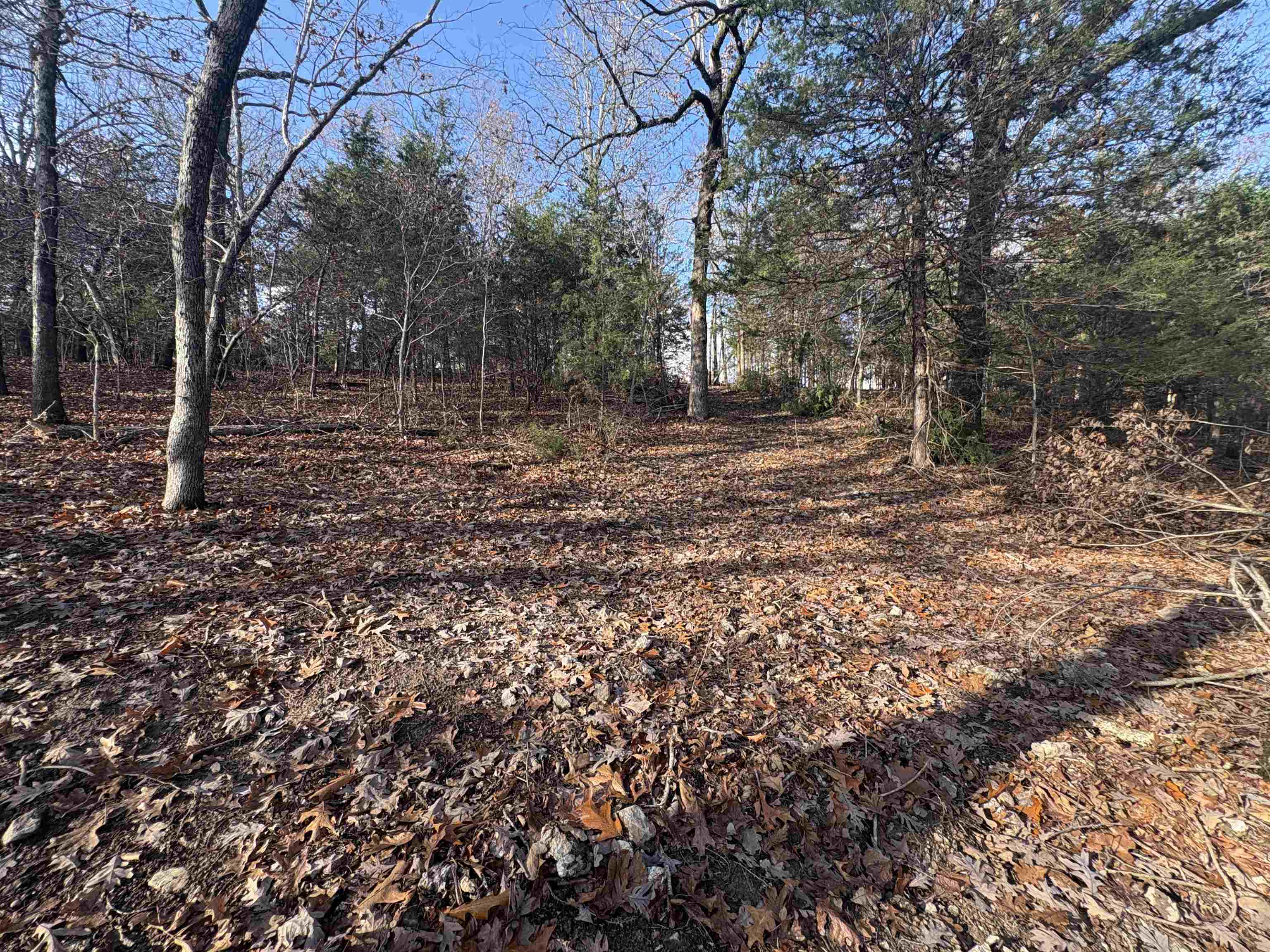 Tract D Crystal Oaks Trail  Gamaliel, AR