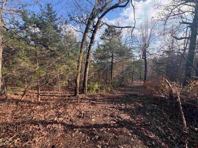 Tract C & D Hwy 101  Gamaliel, AR