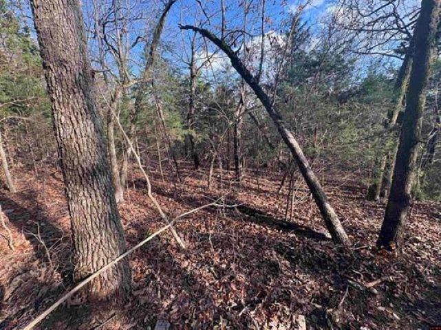 Tract C & D Hwy 101  Gamaliel, AR