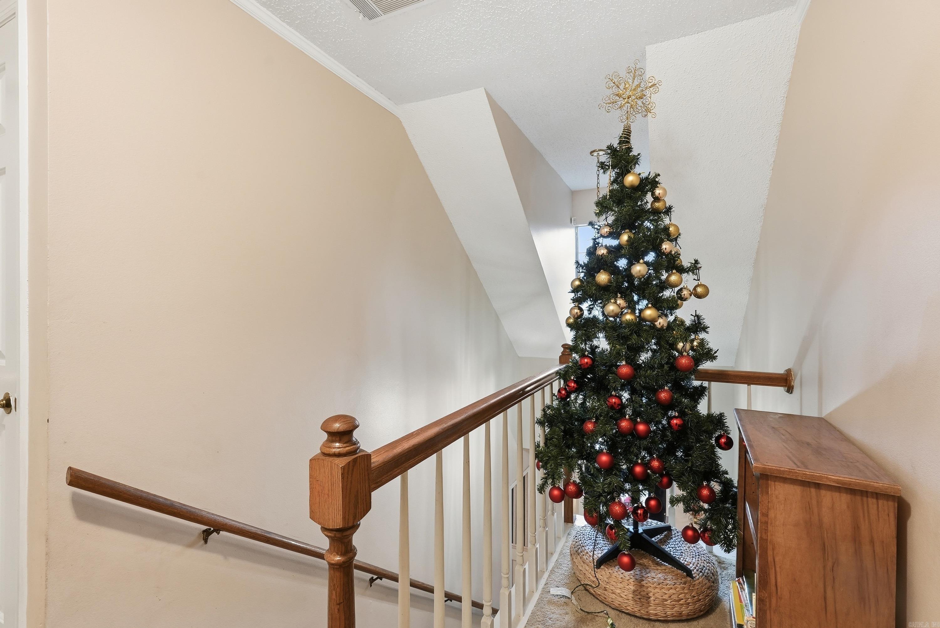 4 Yazoo  Maumelle, AR