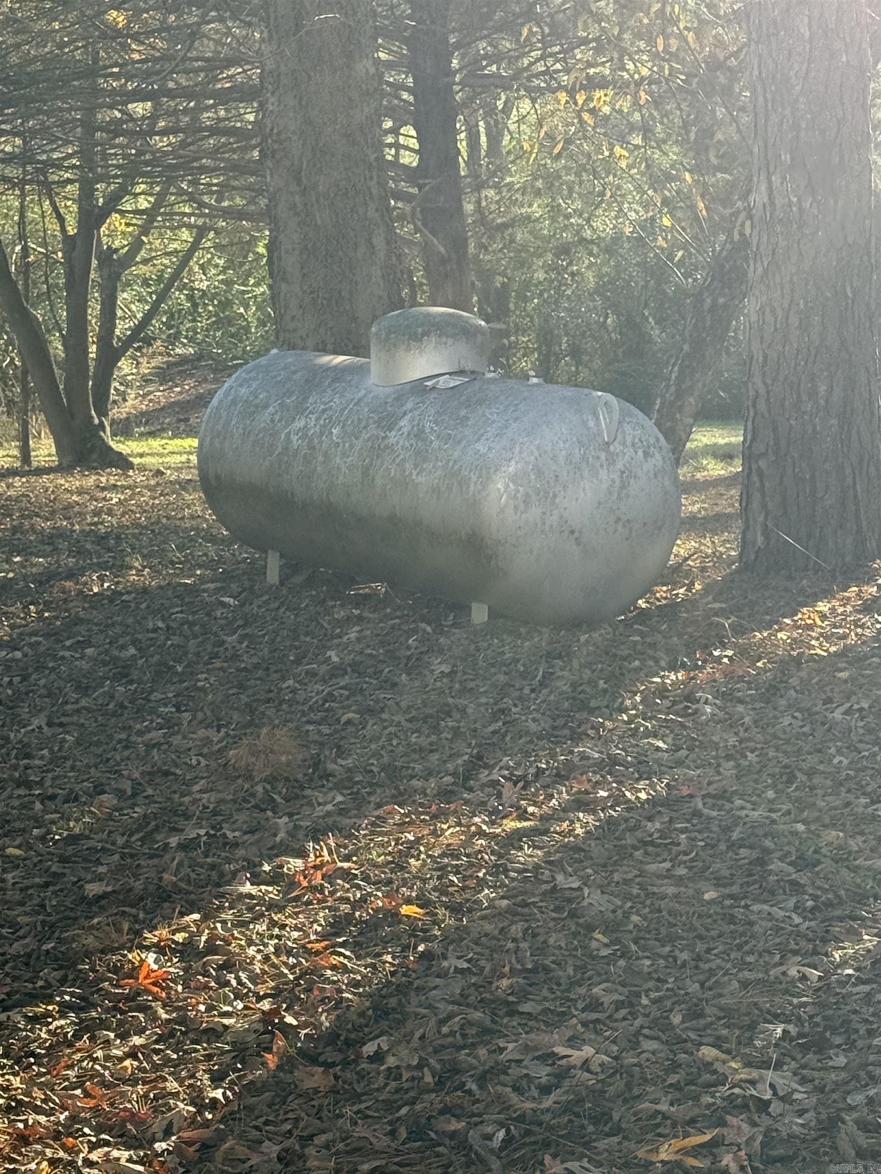 37 Park  Evening Shade, AR