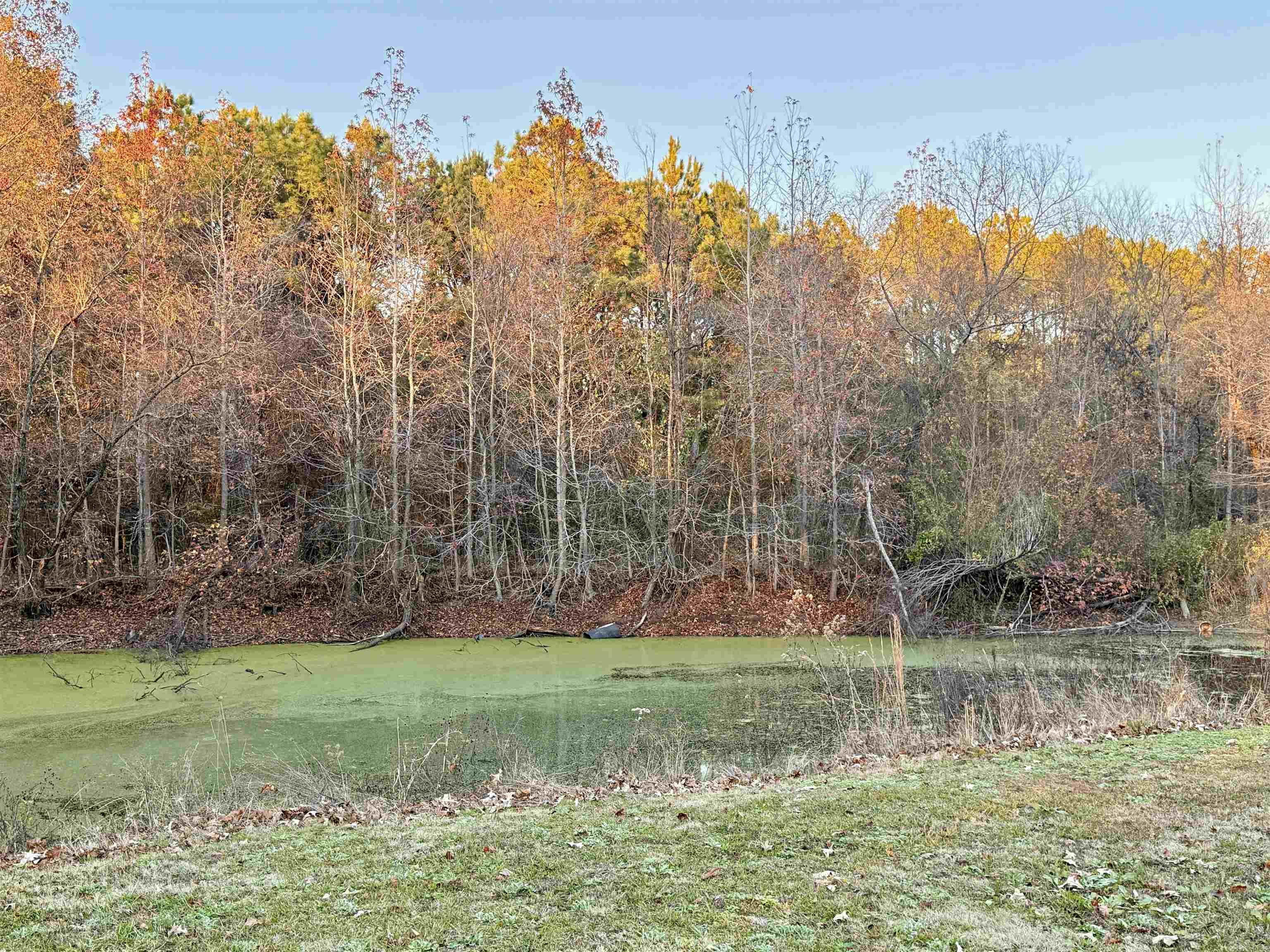 145 County Road 778  Jonesboro, AR