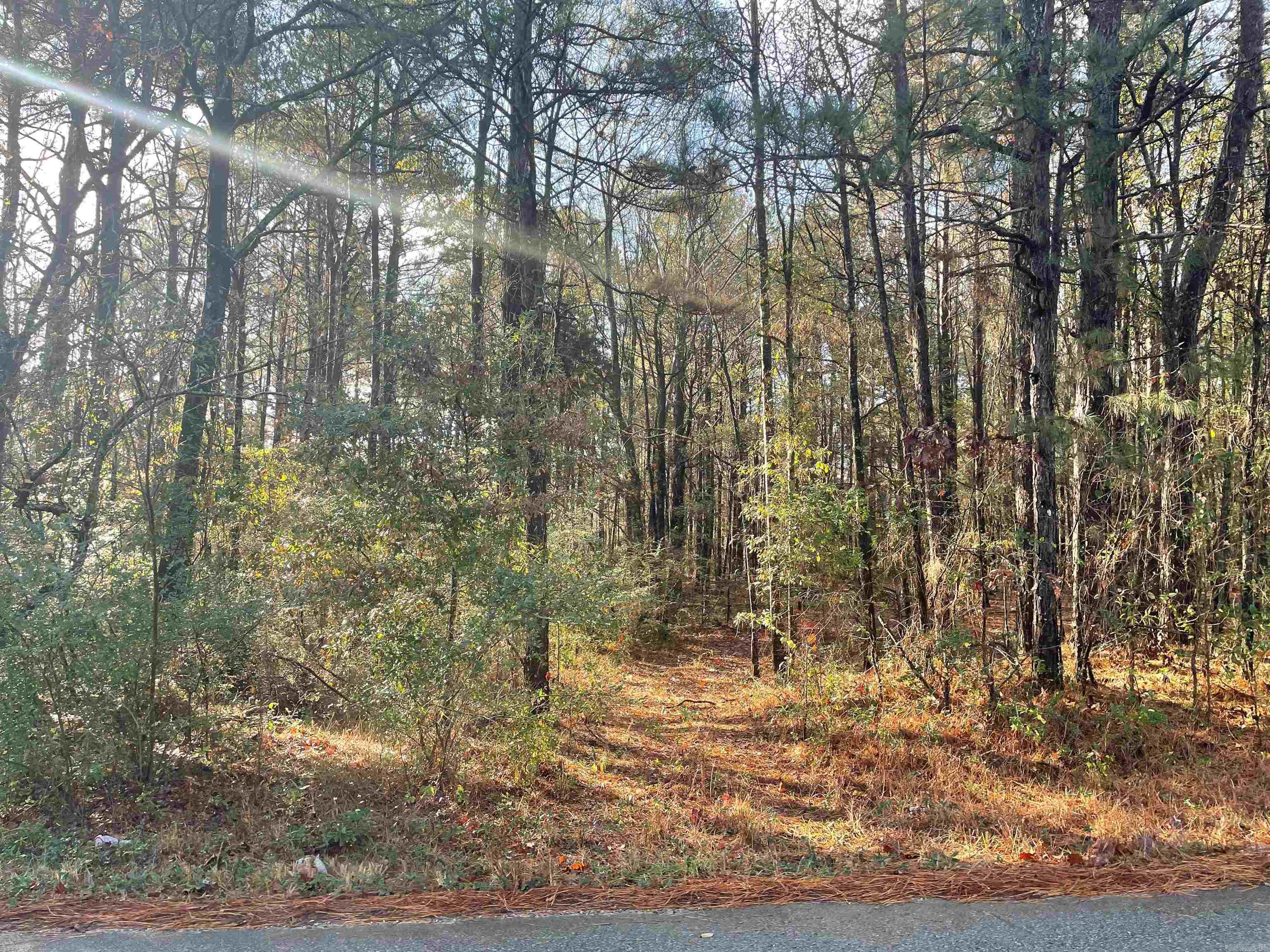 TBD Honeysuckle Rd.  East End, AR