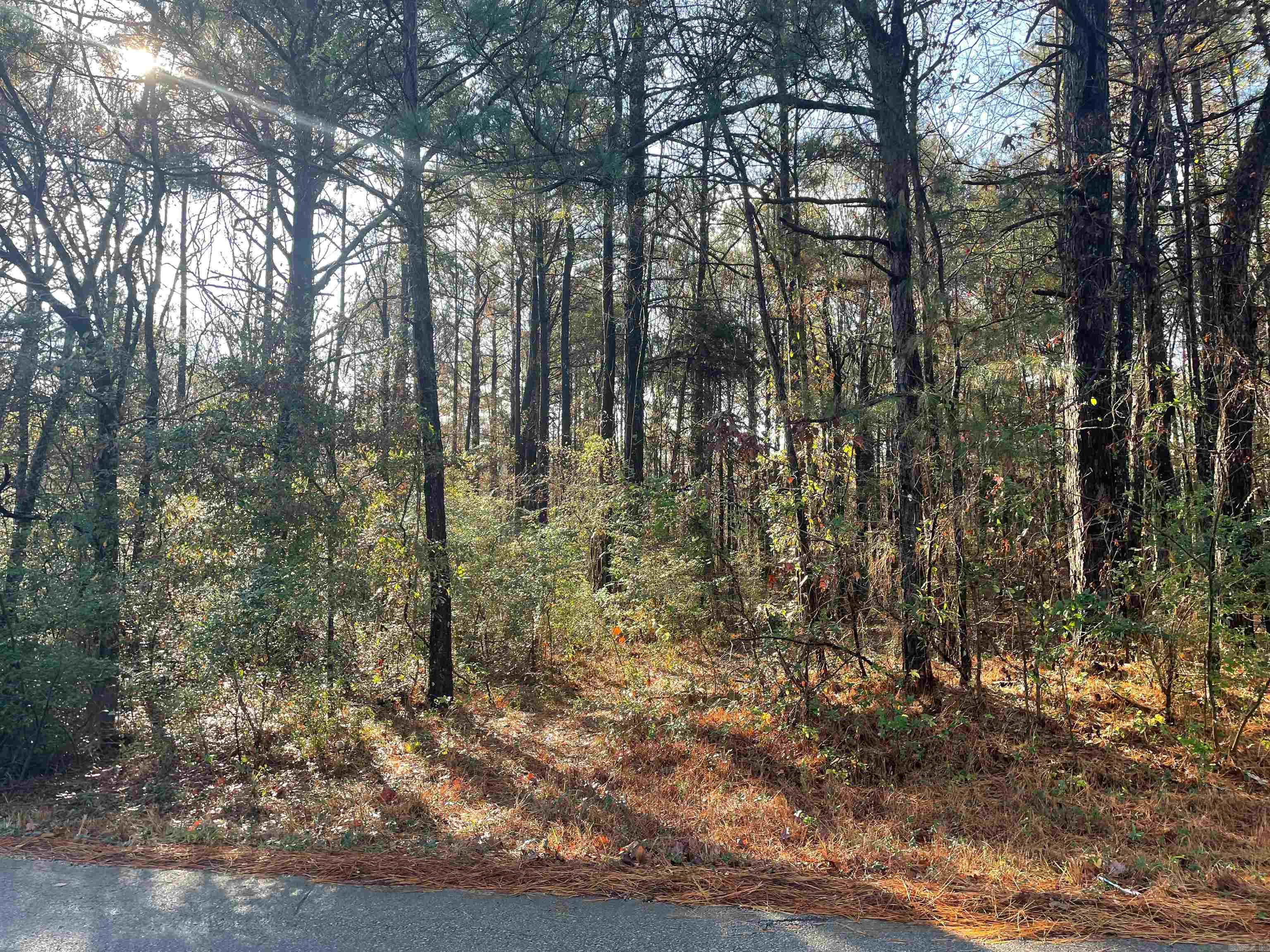 TBD Honeysuckle Rd.  East End, AR