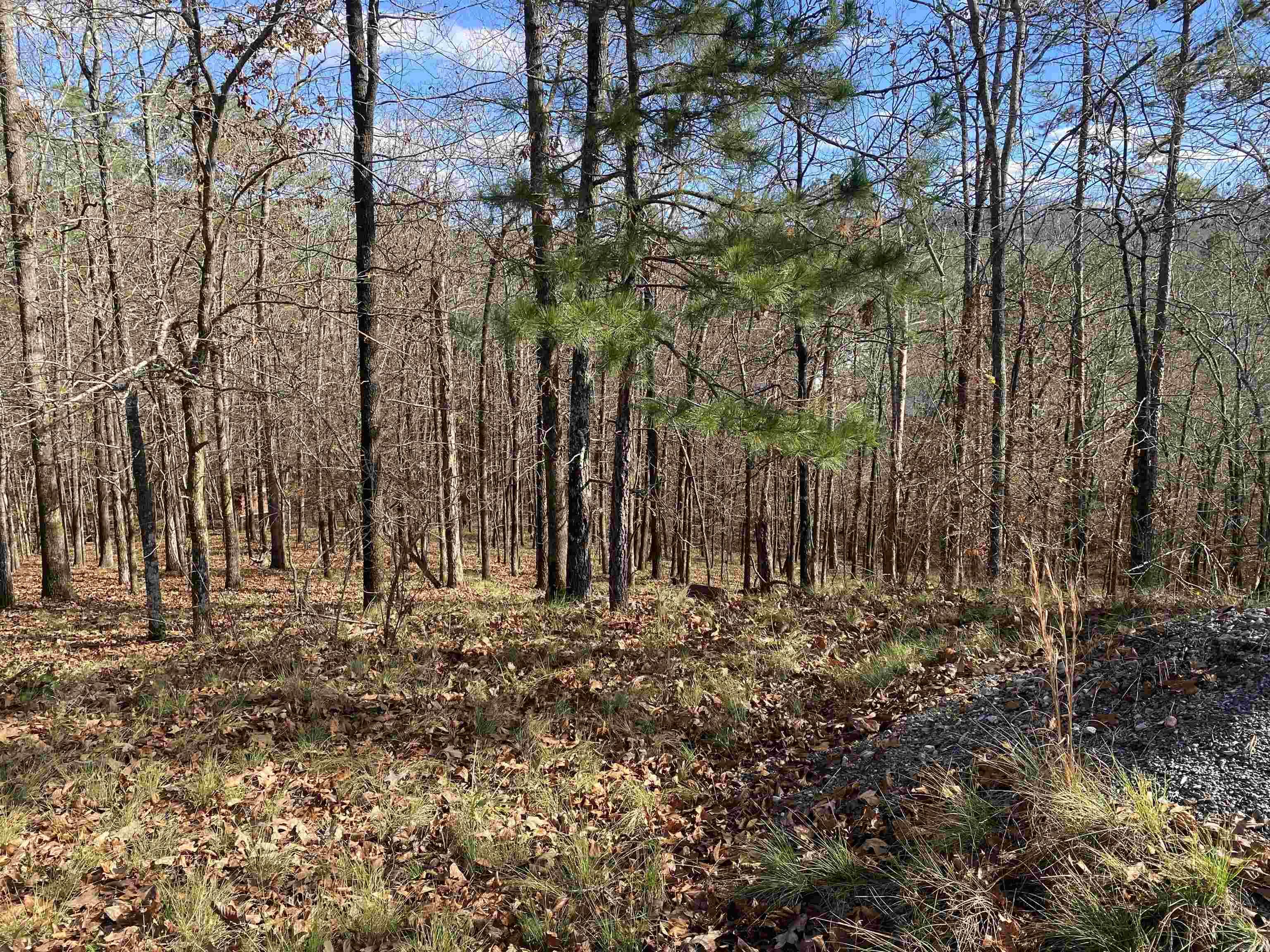 xxx Glenwood  Hot Springs, AR