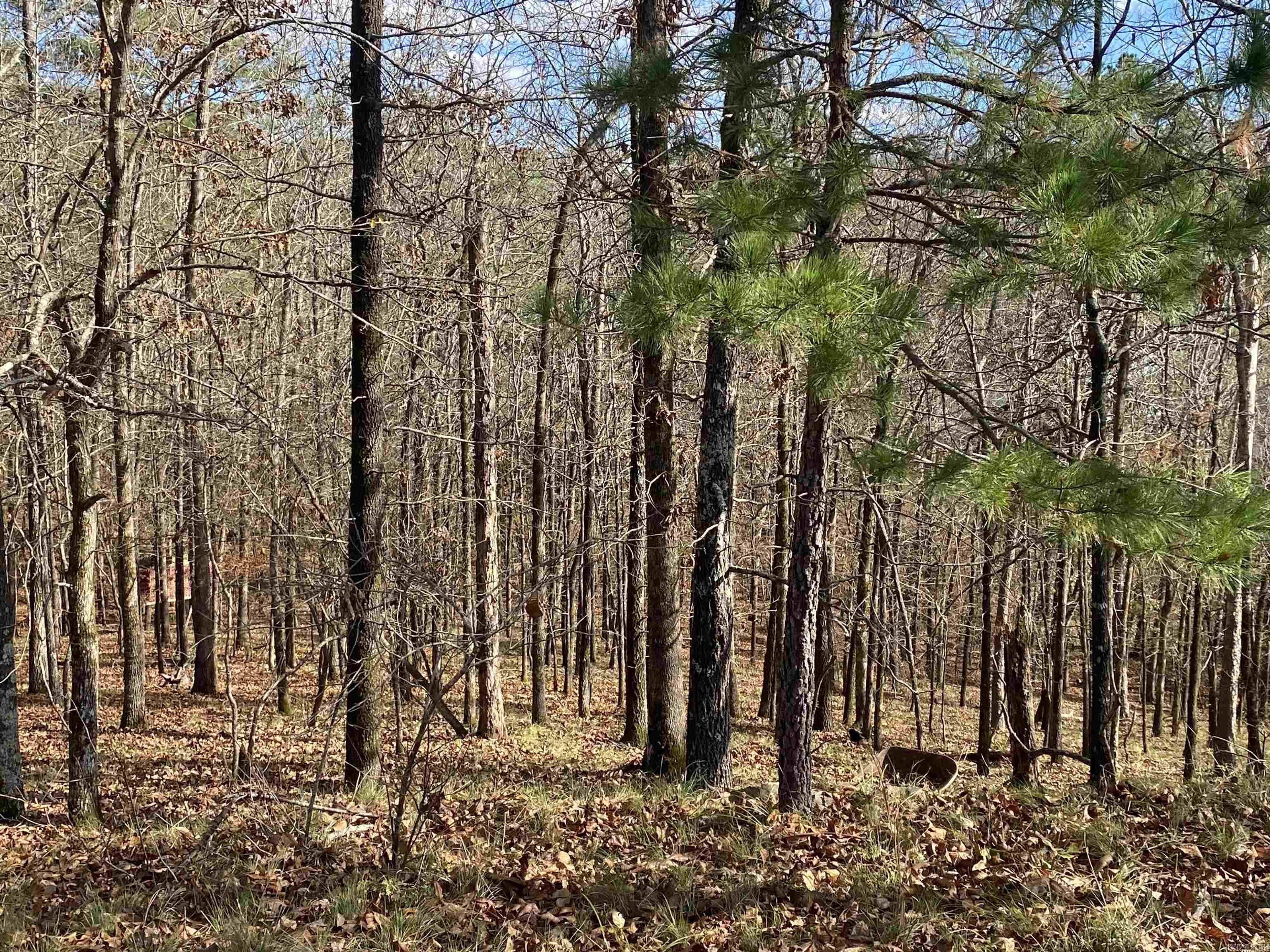 xxx Glenwood  Hot Springs, AR