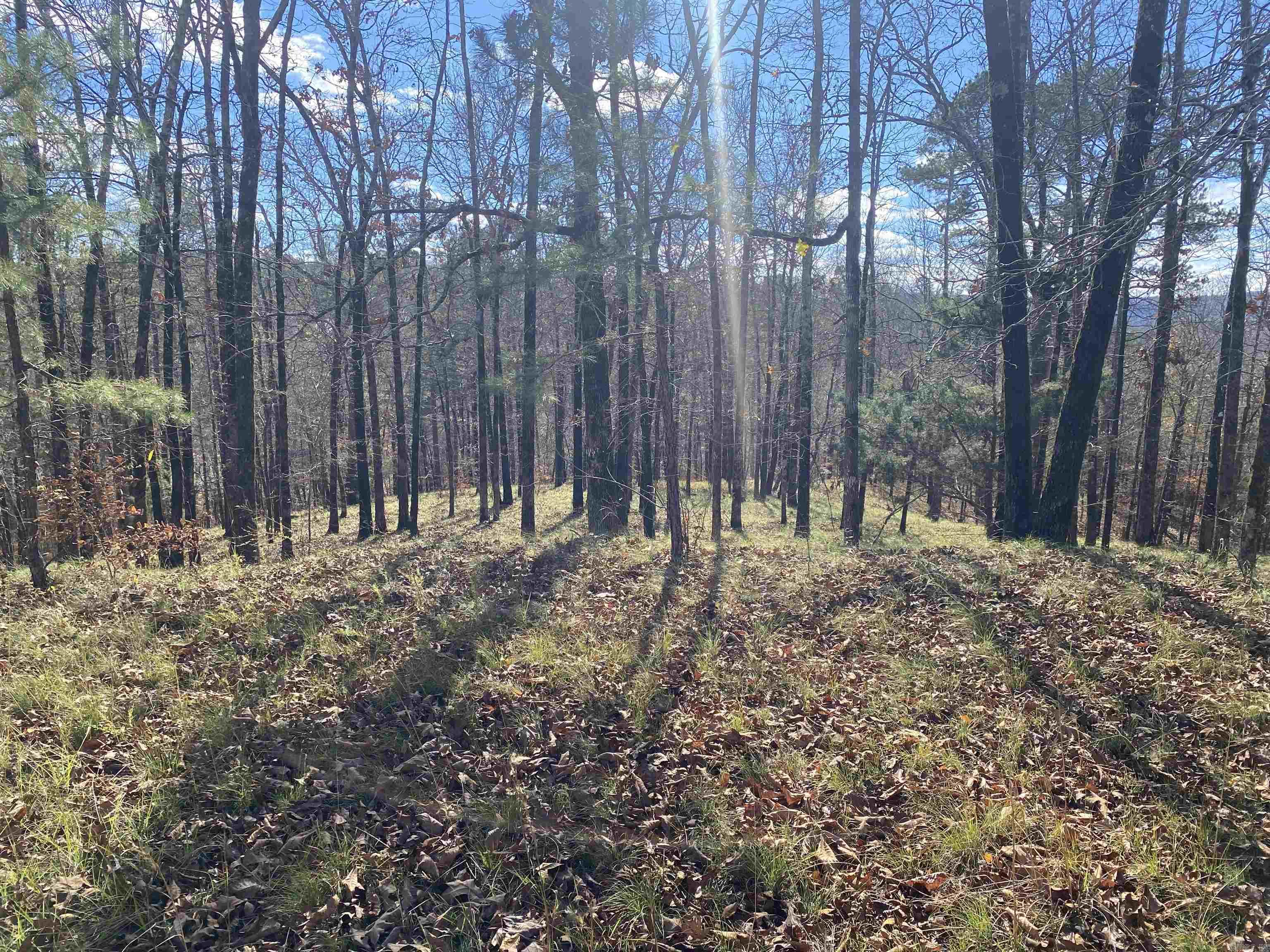 xxx Glenwood  Hot Springs, AR