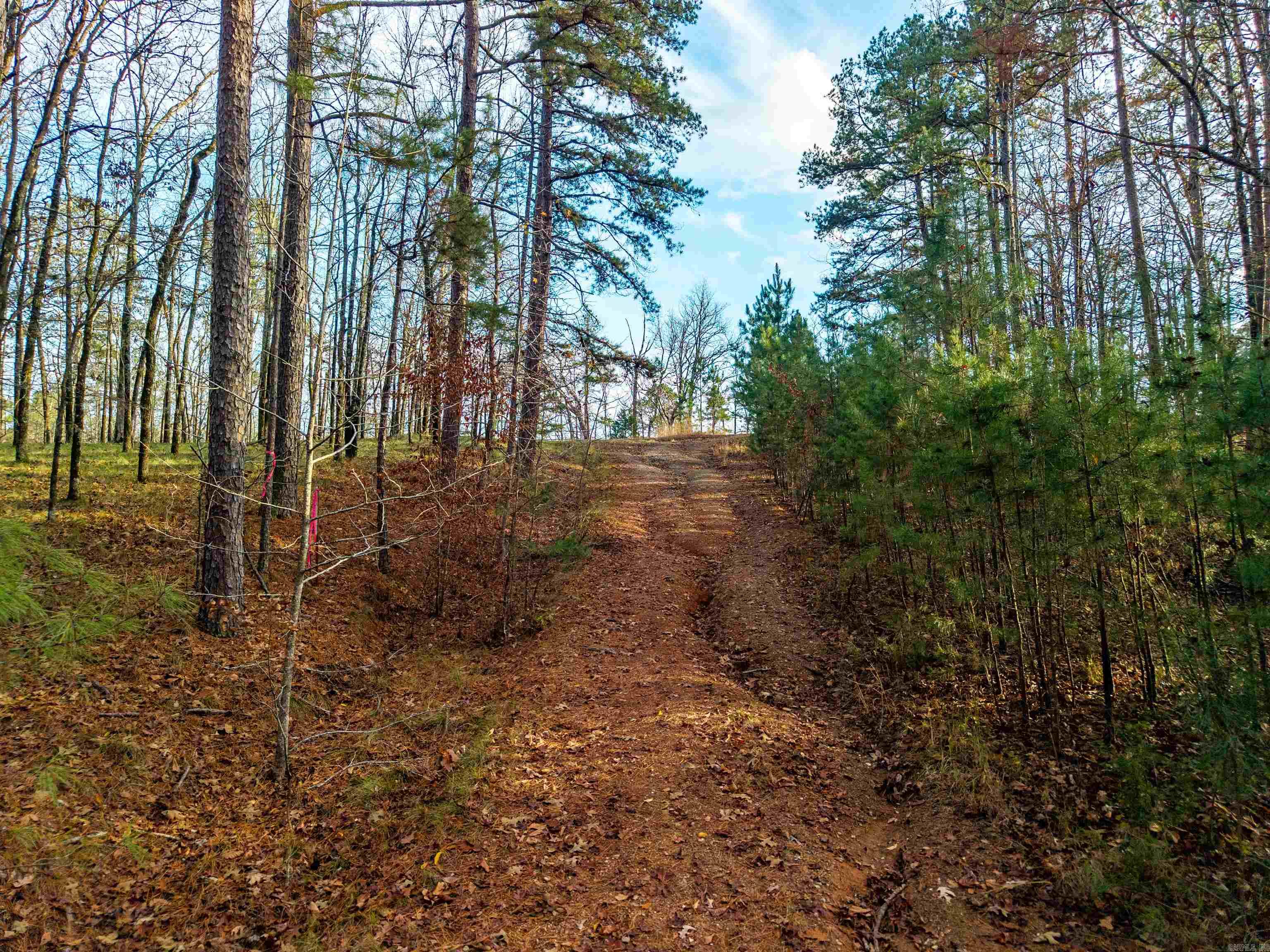 xxx Glenwood  Hot Springs, AR