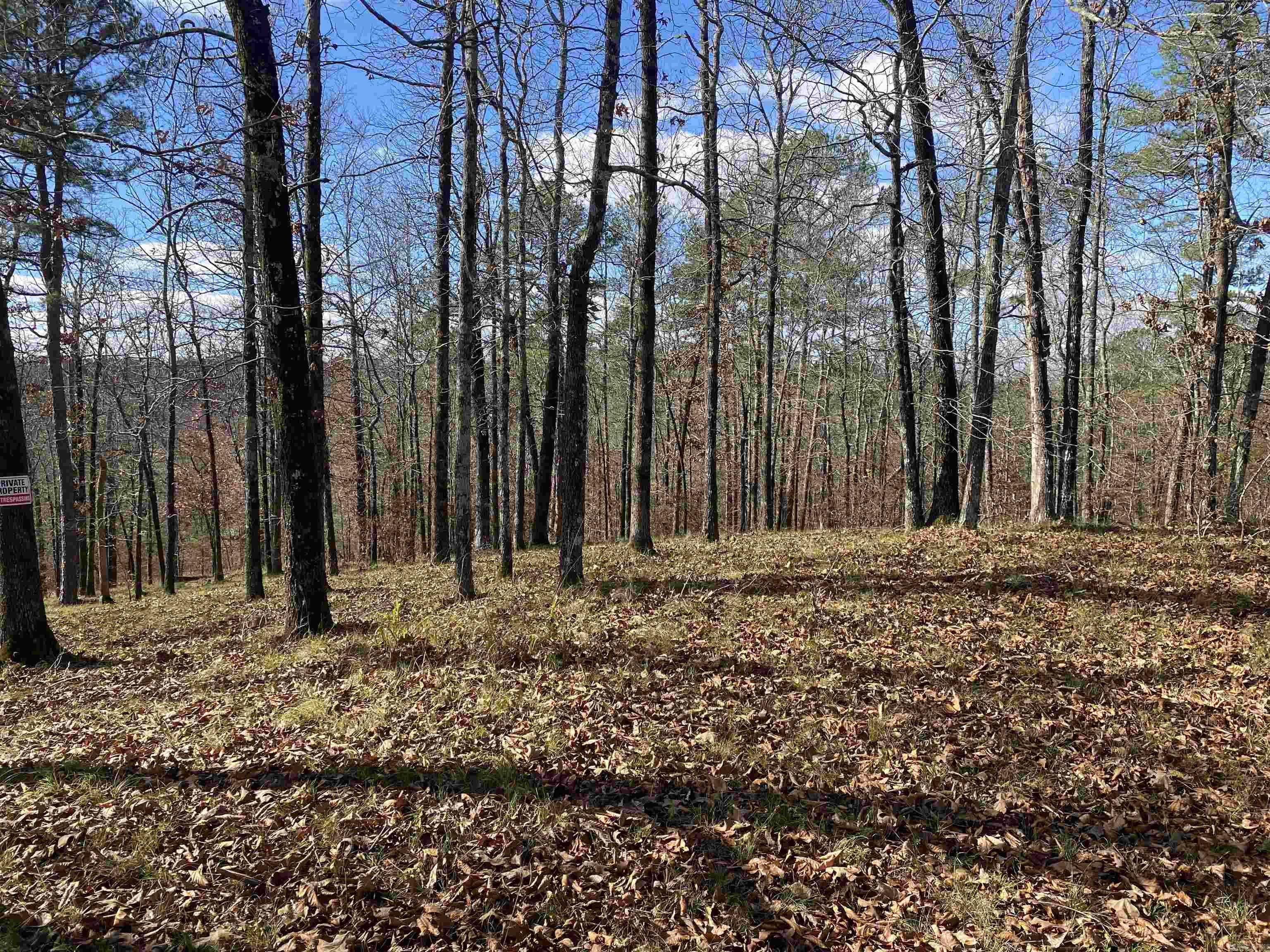 xxx Glenwood  Hot Springs, AR