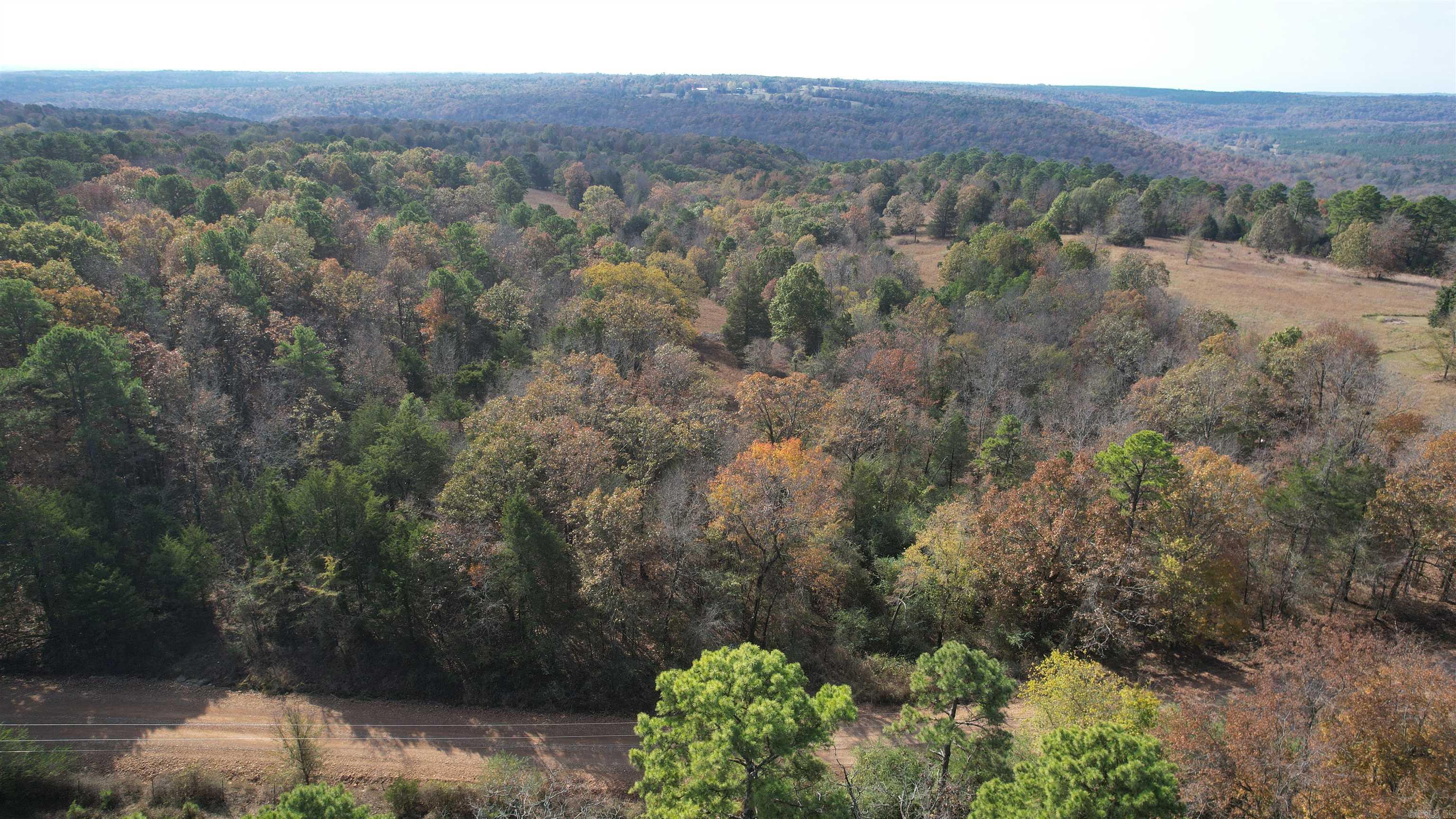 2135 Union Hill  Pleasant Plains, AR