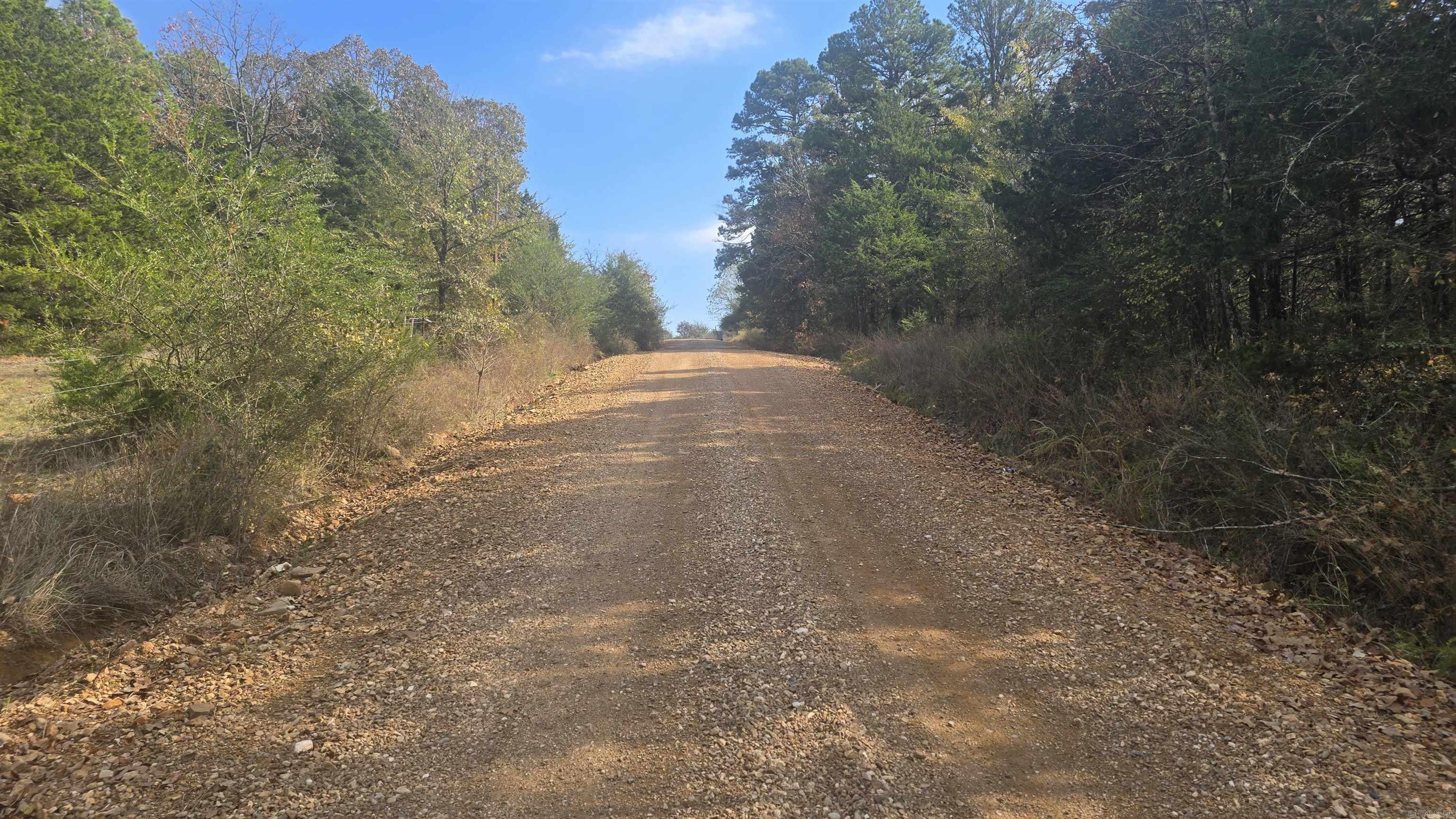 2135 Union Hill  Pleasant Plains, AR